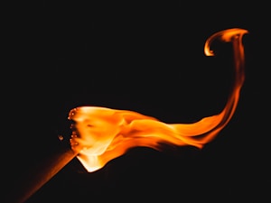 Vital Fire Triad