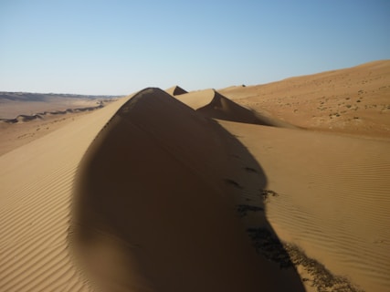 A vast desert landscape featuring large sand dunes under a clear blue sky. The dunes are sculpted by the wind, creating smooth and sharp ridges. Sparse vegetation can be seen scattered across the sand, struggling to survive in the arid environment. Shadows cast by the dunes create contrasting patterns on the sand surface.