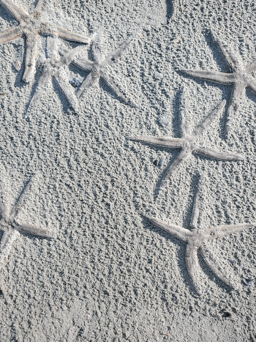 white snow on brown sand