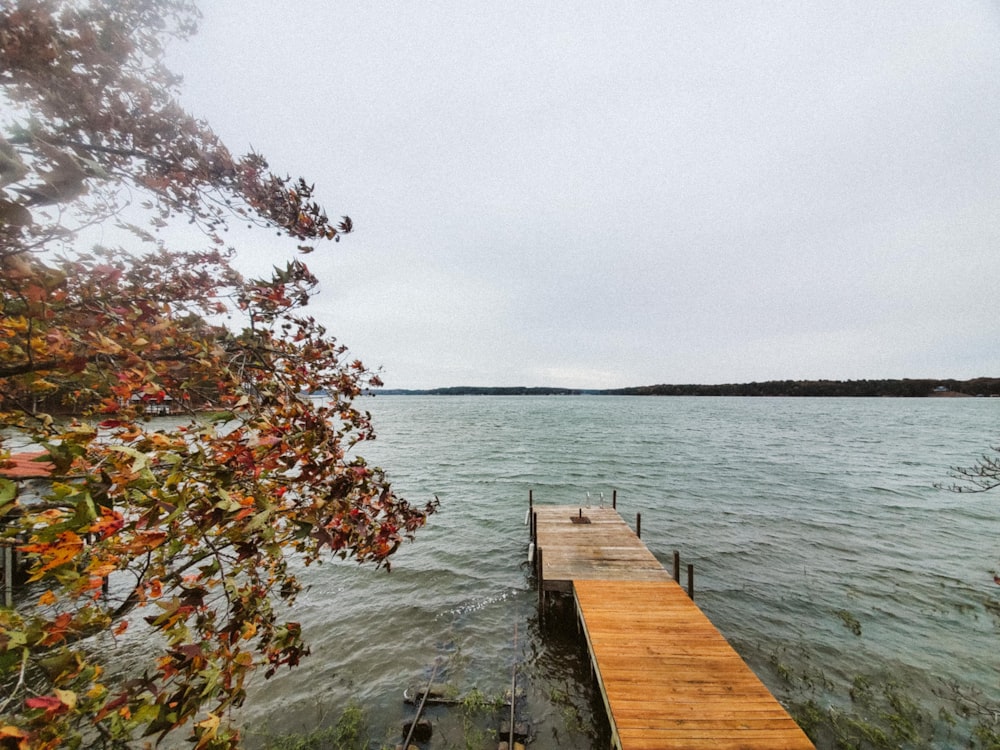 brown wooden dock on body of water during daytime