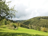 A lush green landscape with rolling hills and trees.