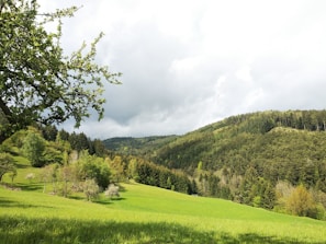 A lush green landscape with rolling hills and trees.