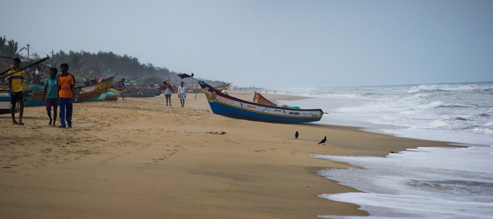 blue and brown boat on beach during daytime