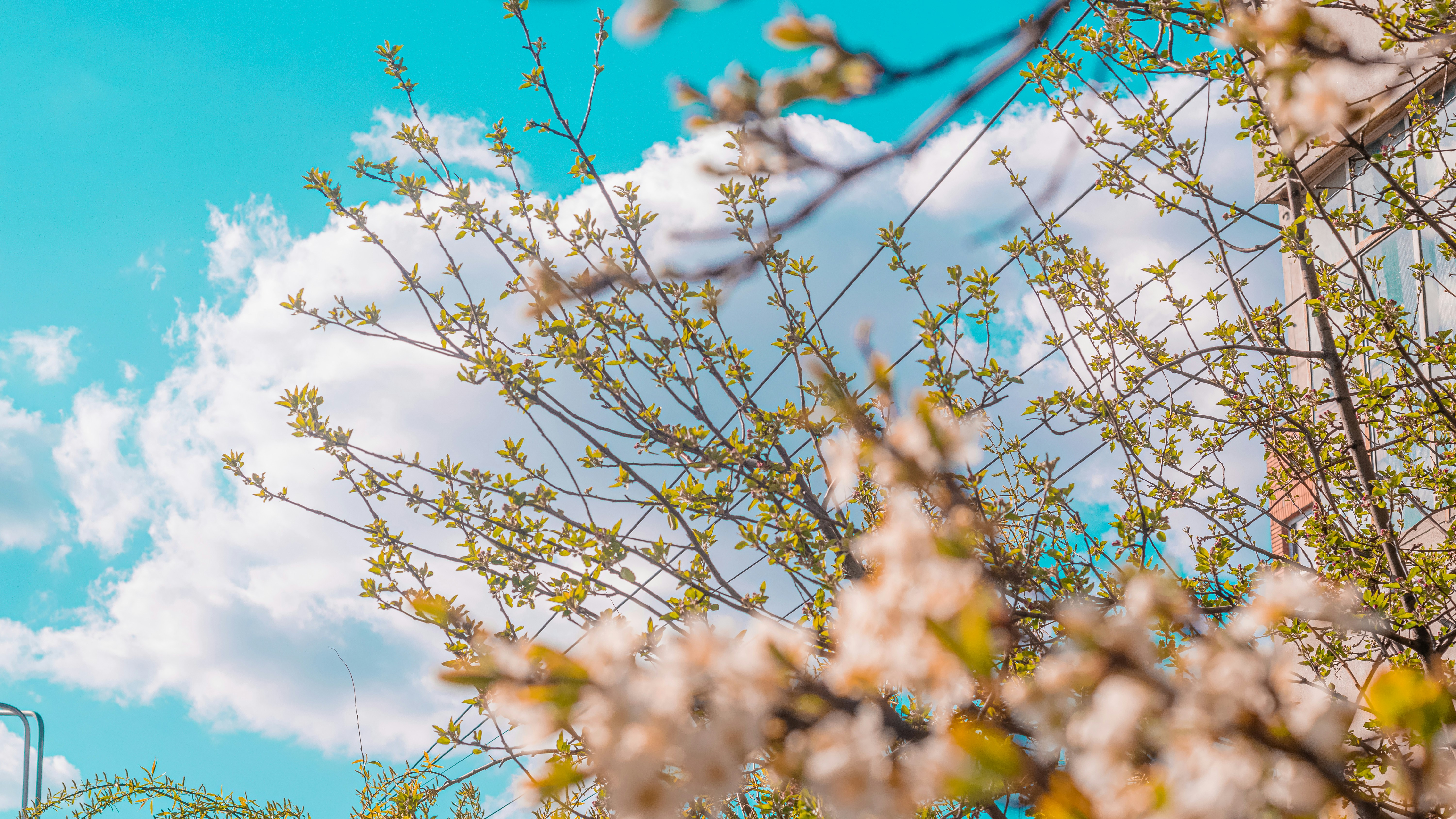 Photo by gaspitheartist