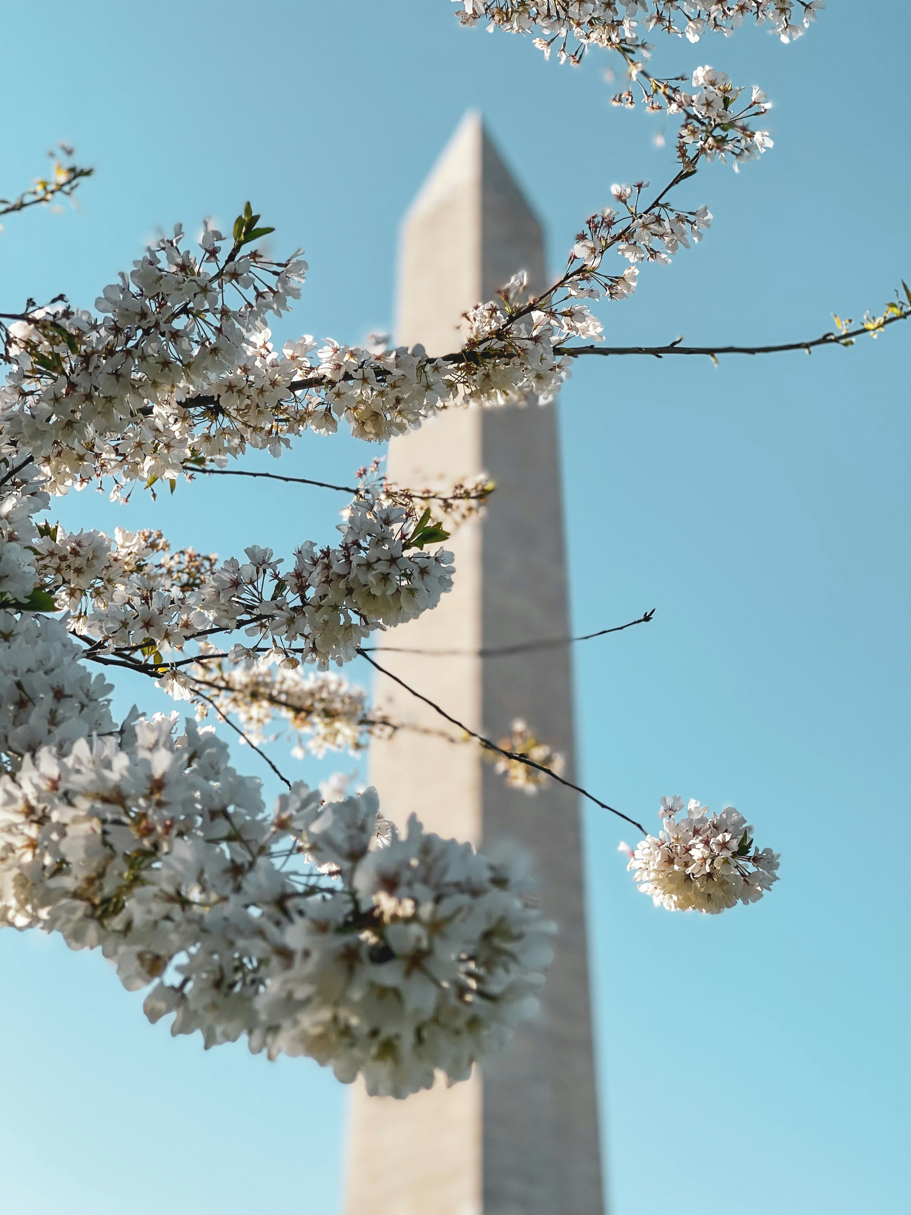 Photo by antovilardo