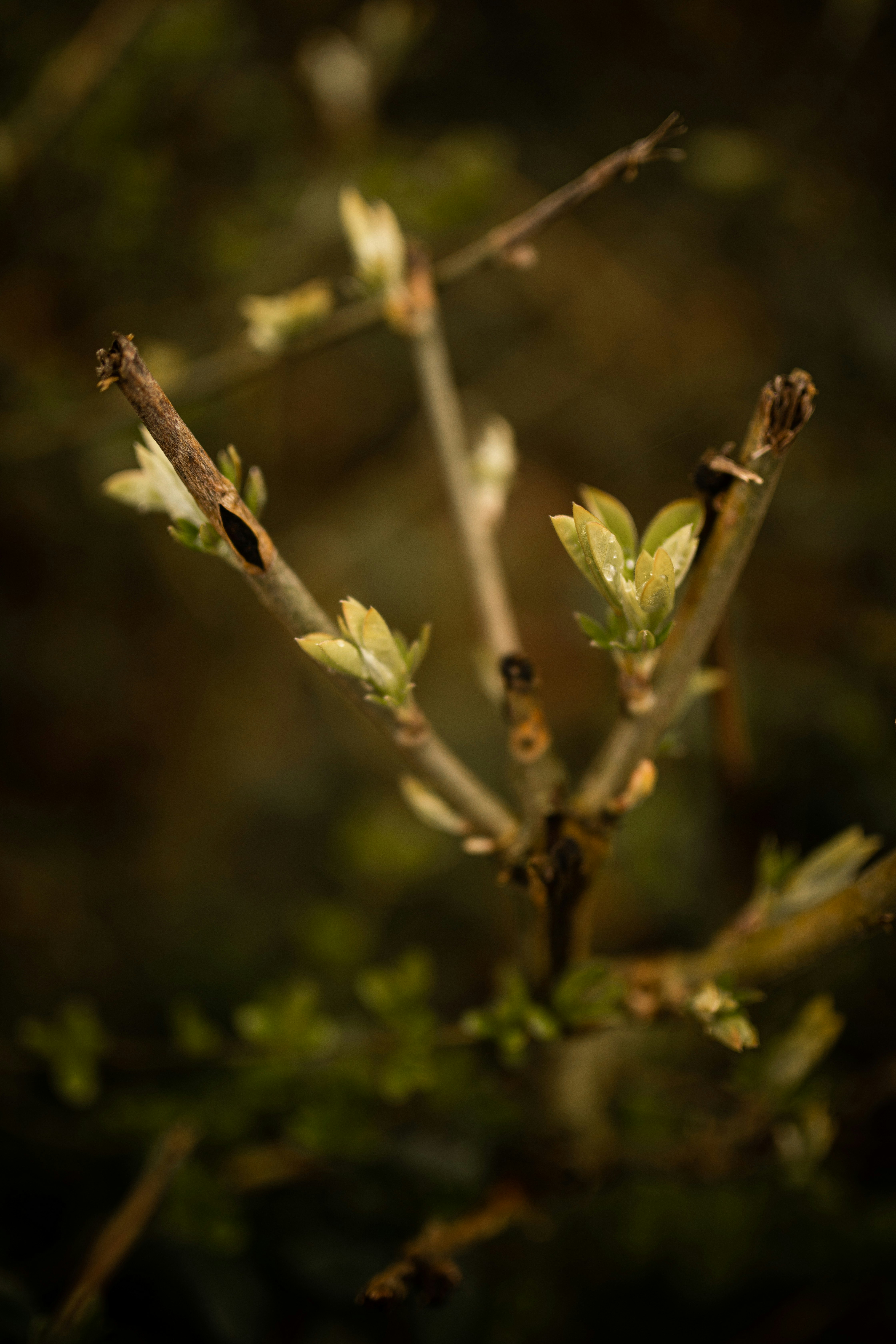 Photo by kajareichardtphotos