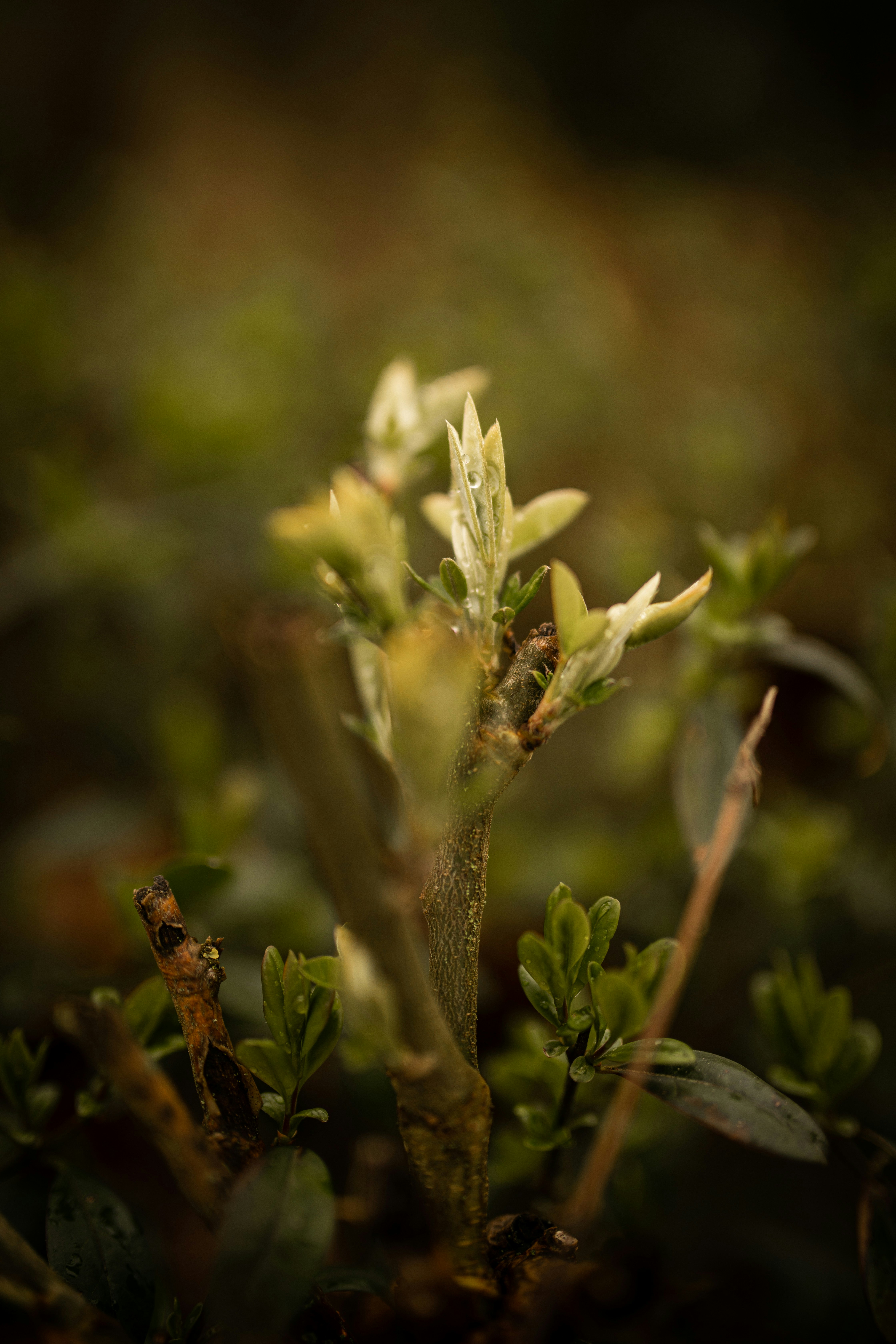 Photo by kajareichardtphotos