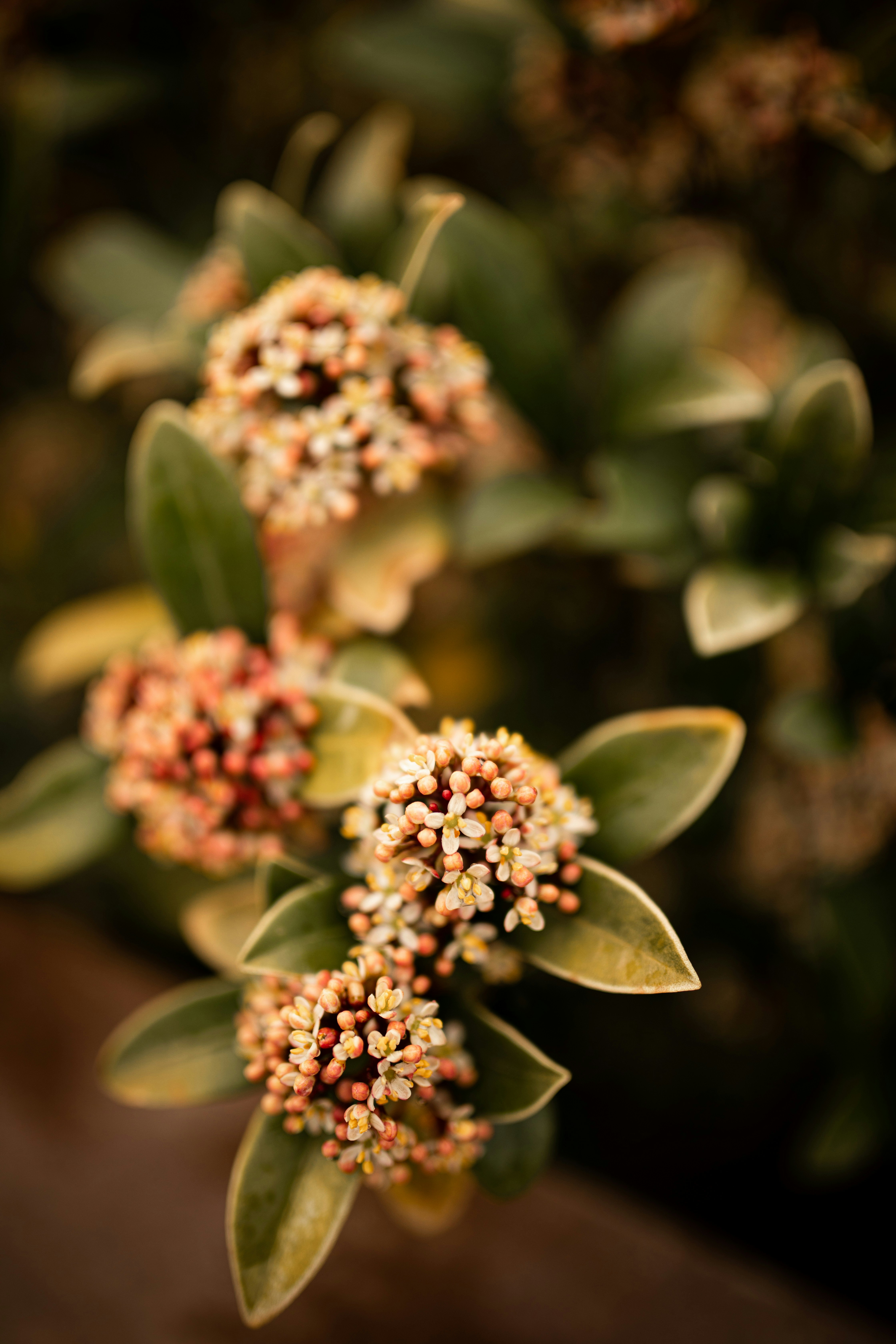 Photo by kajareichardtphotos