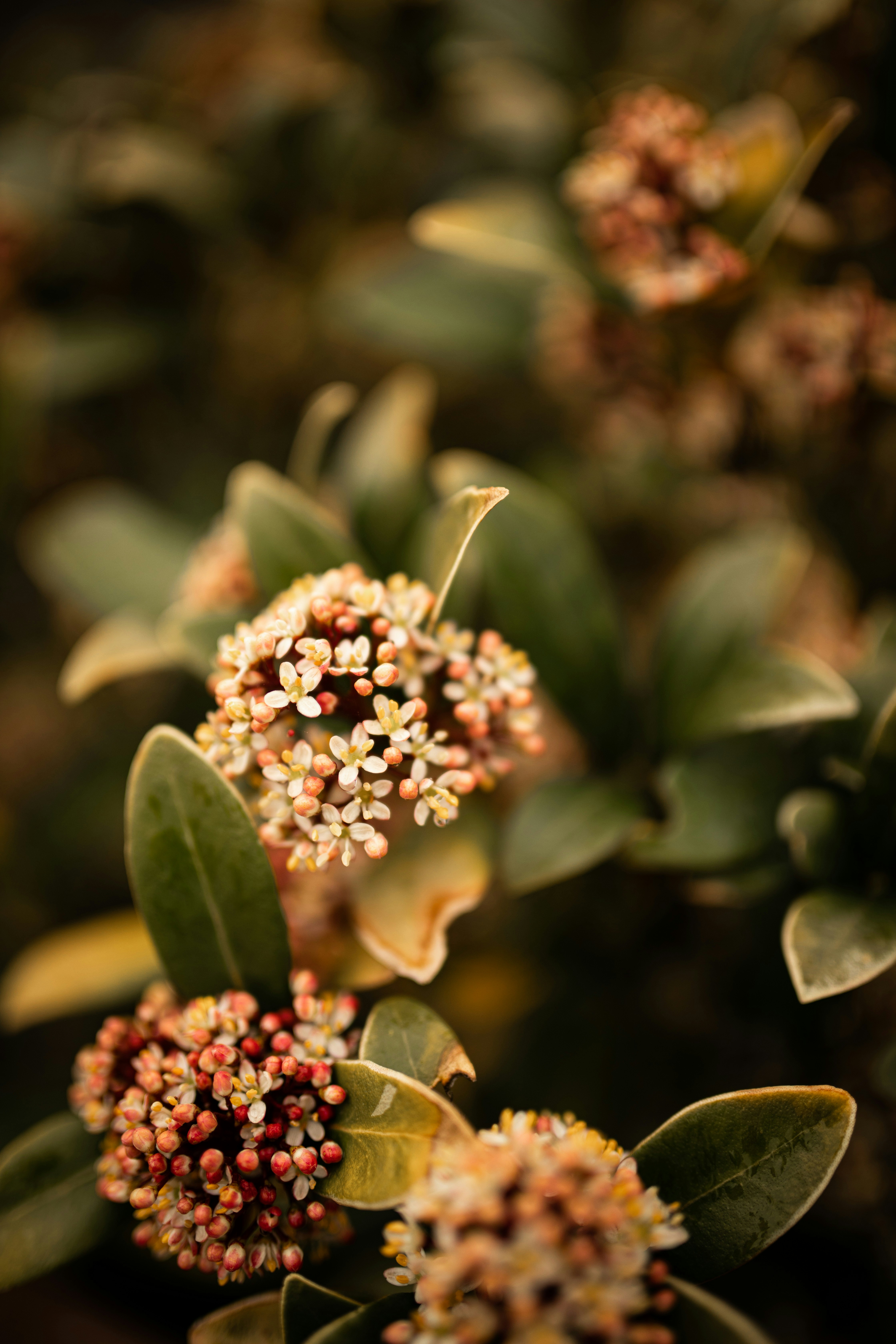 Photo by kajareichardtphotos