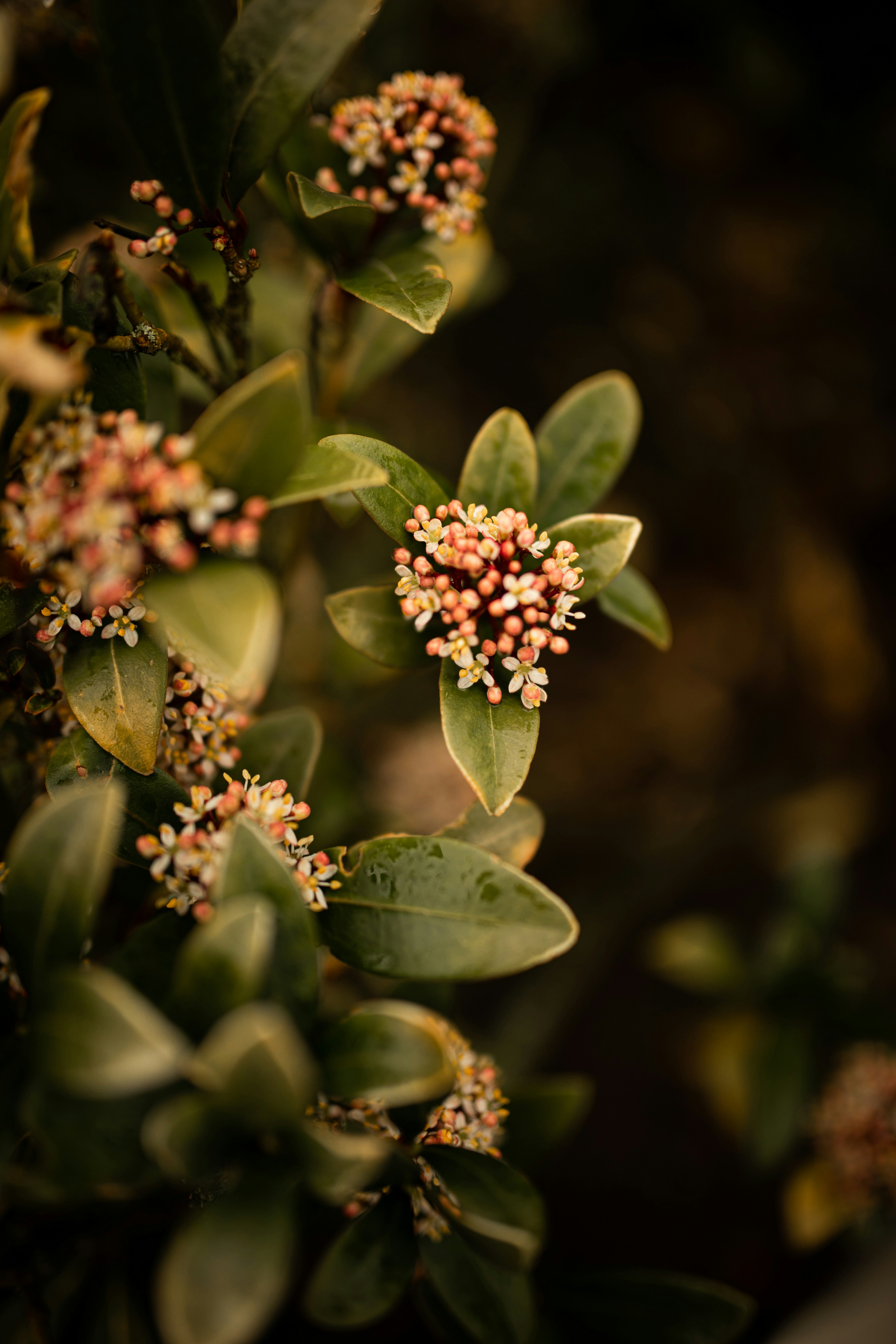 Photo by kajareichardtphotos