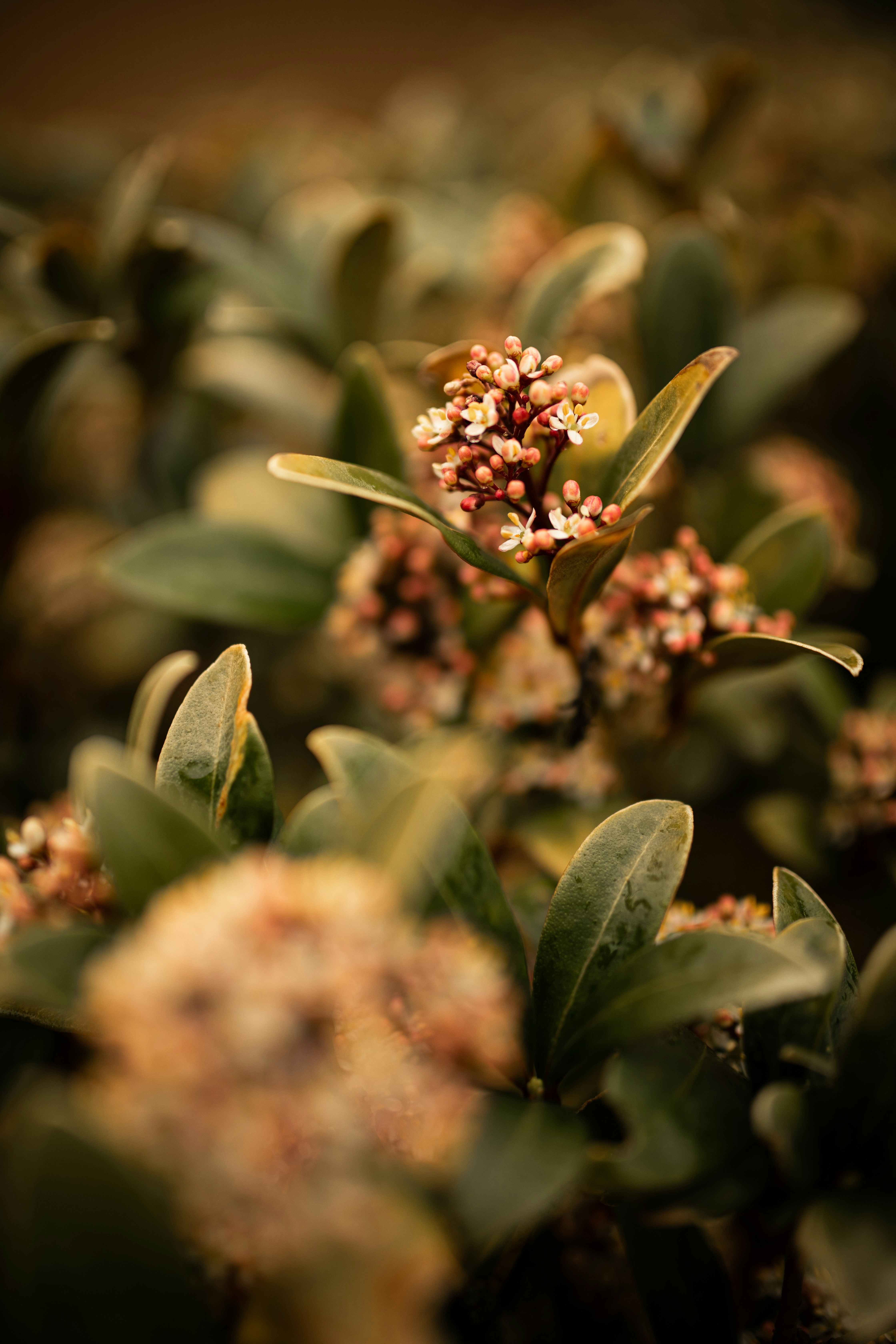 Photo by kajareichardtphotos