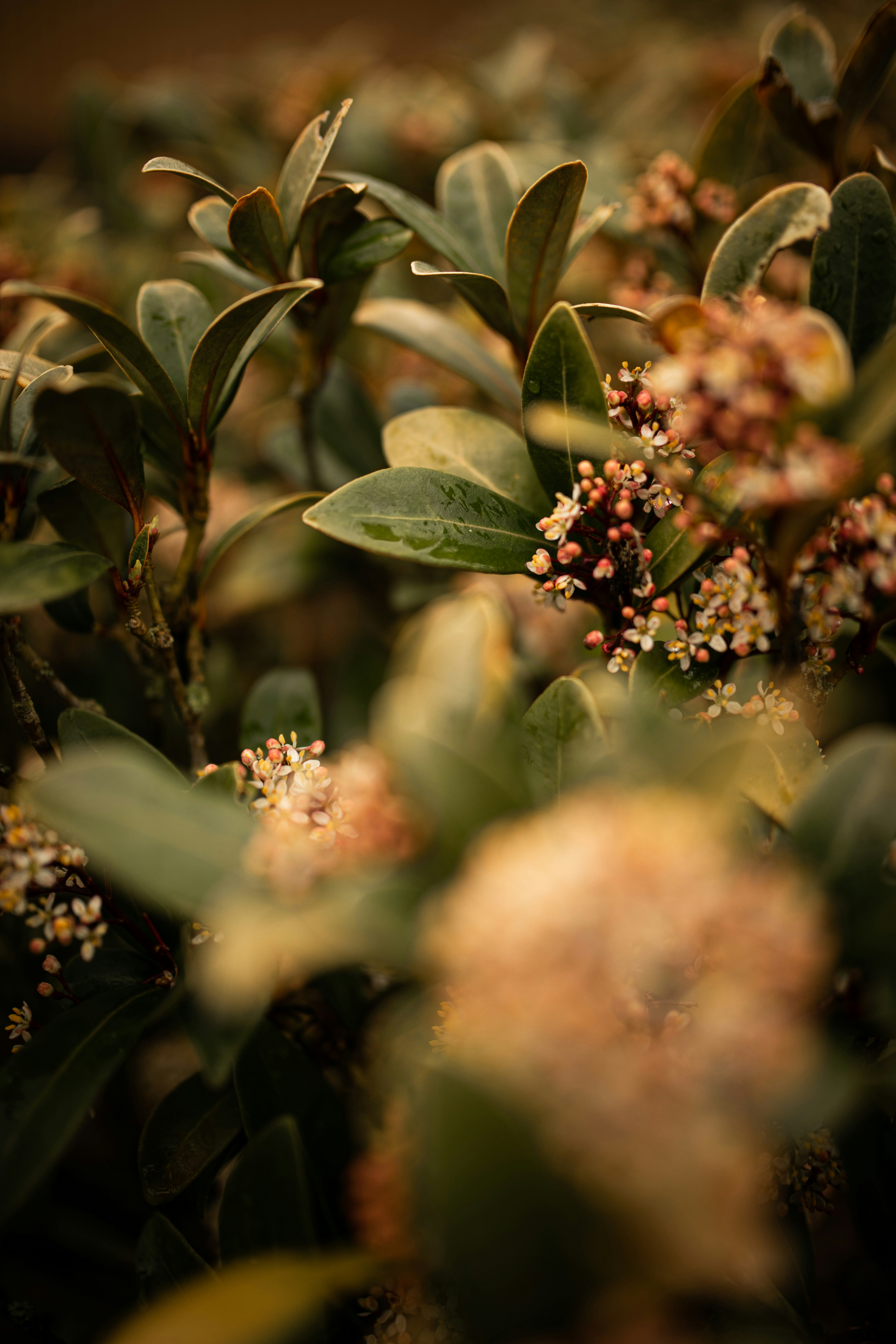 Photo by kajareichardtphotos