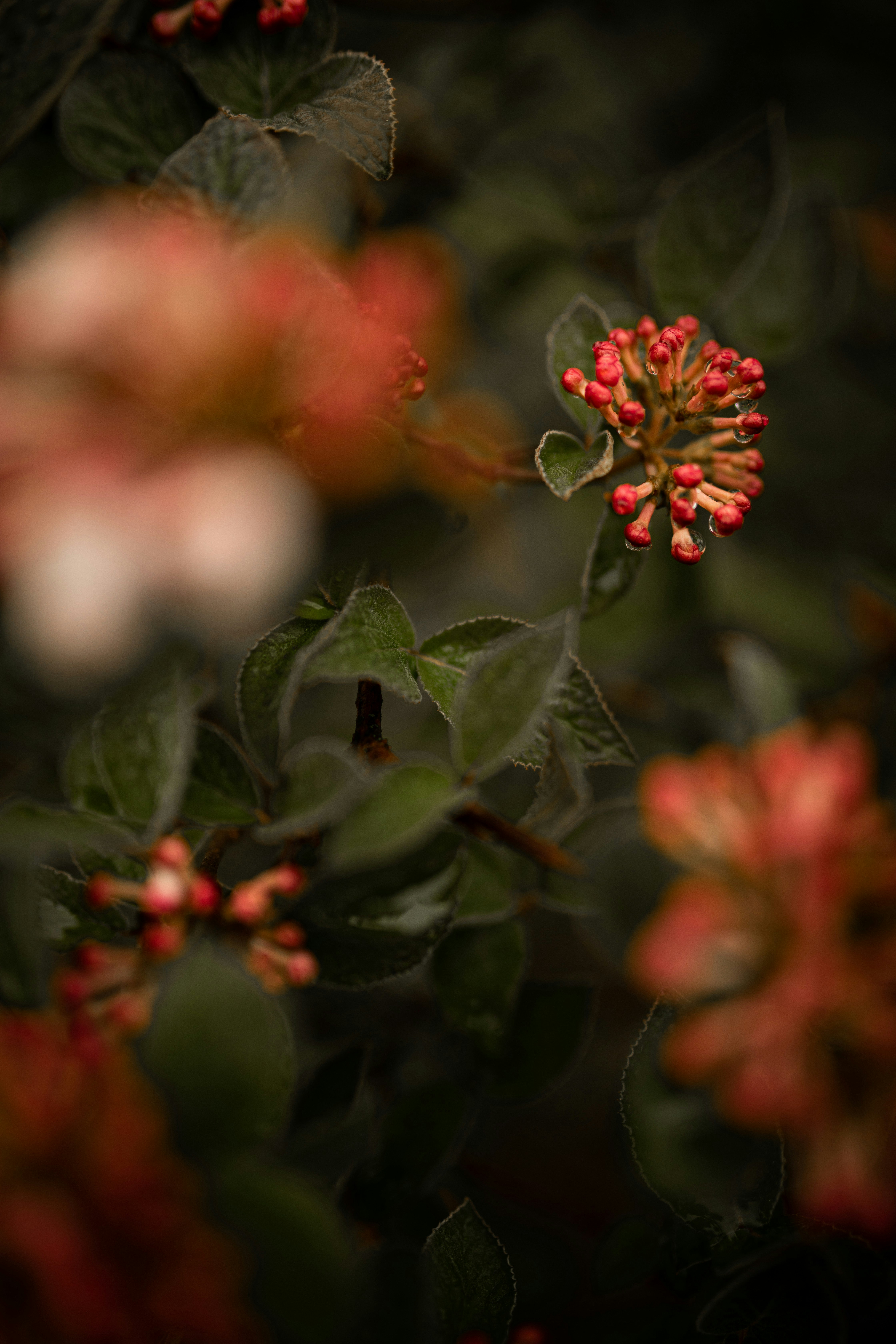 Photo by kajareichardtphotos