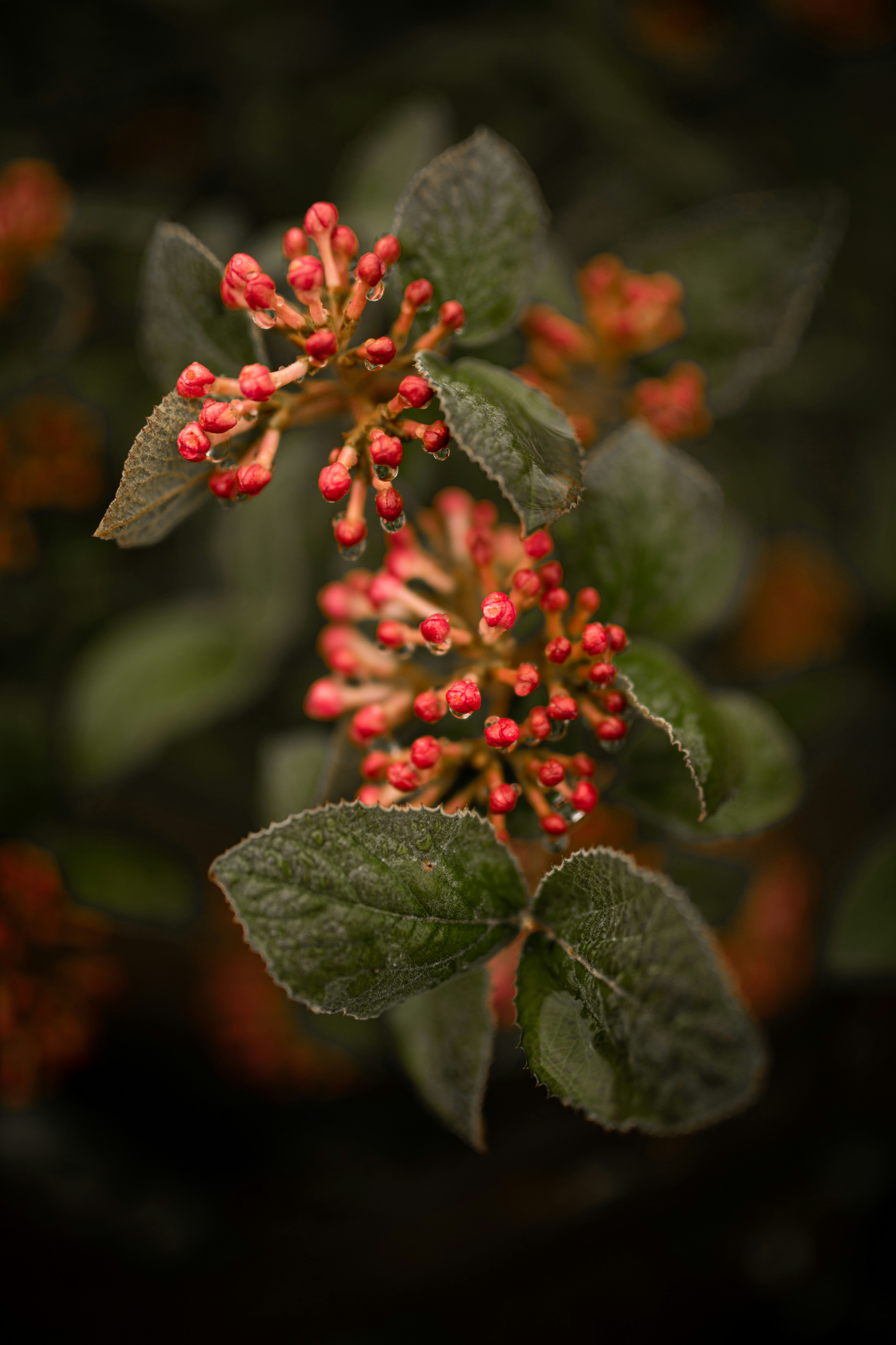 Photo by kajareichardtphotos