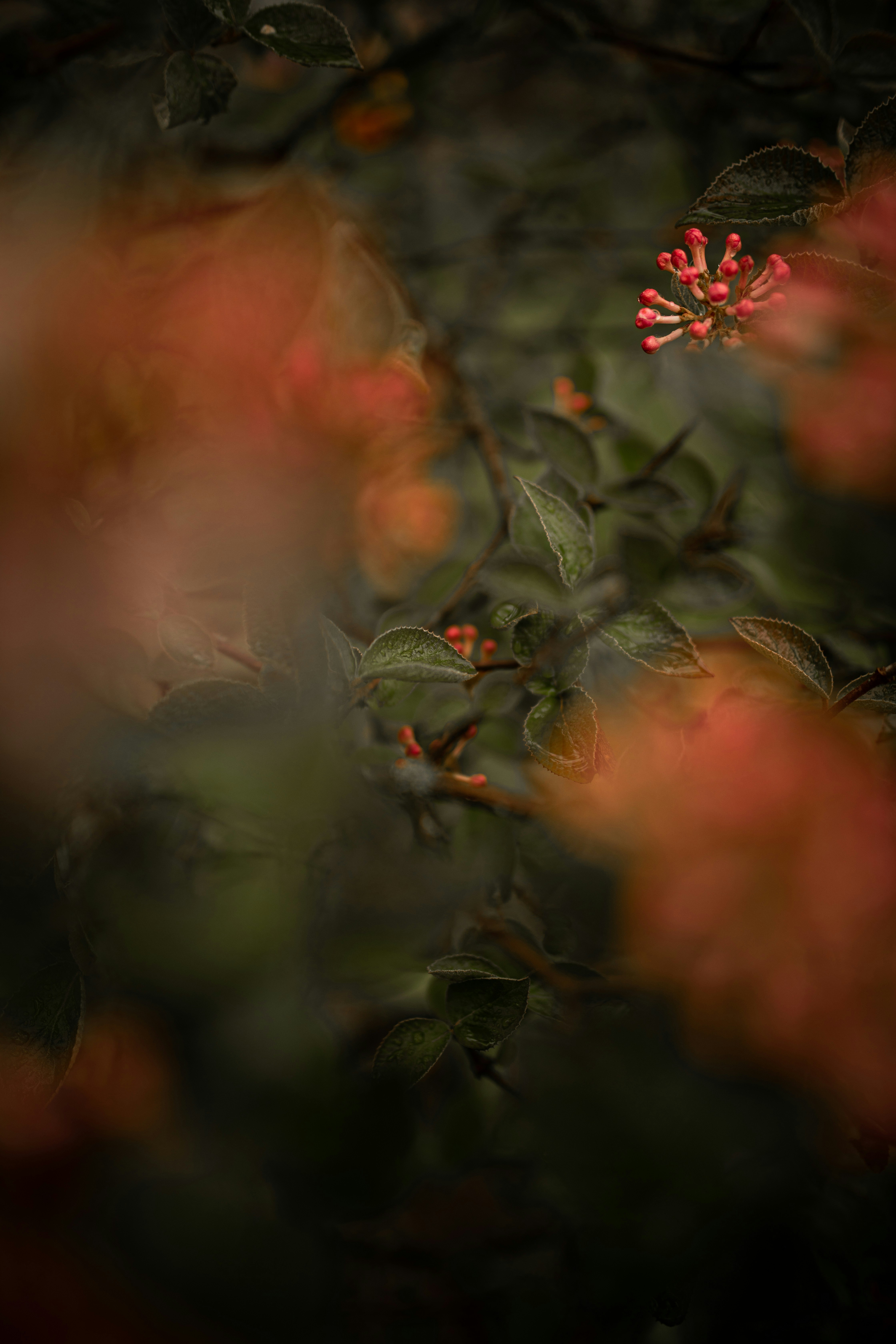 Photo by kajareichardtphotos