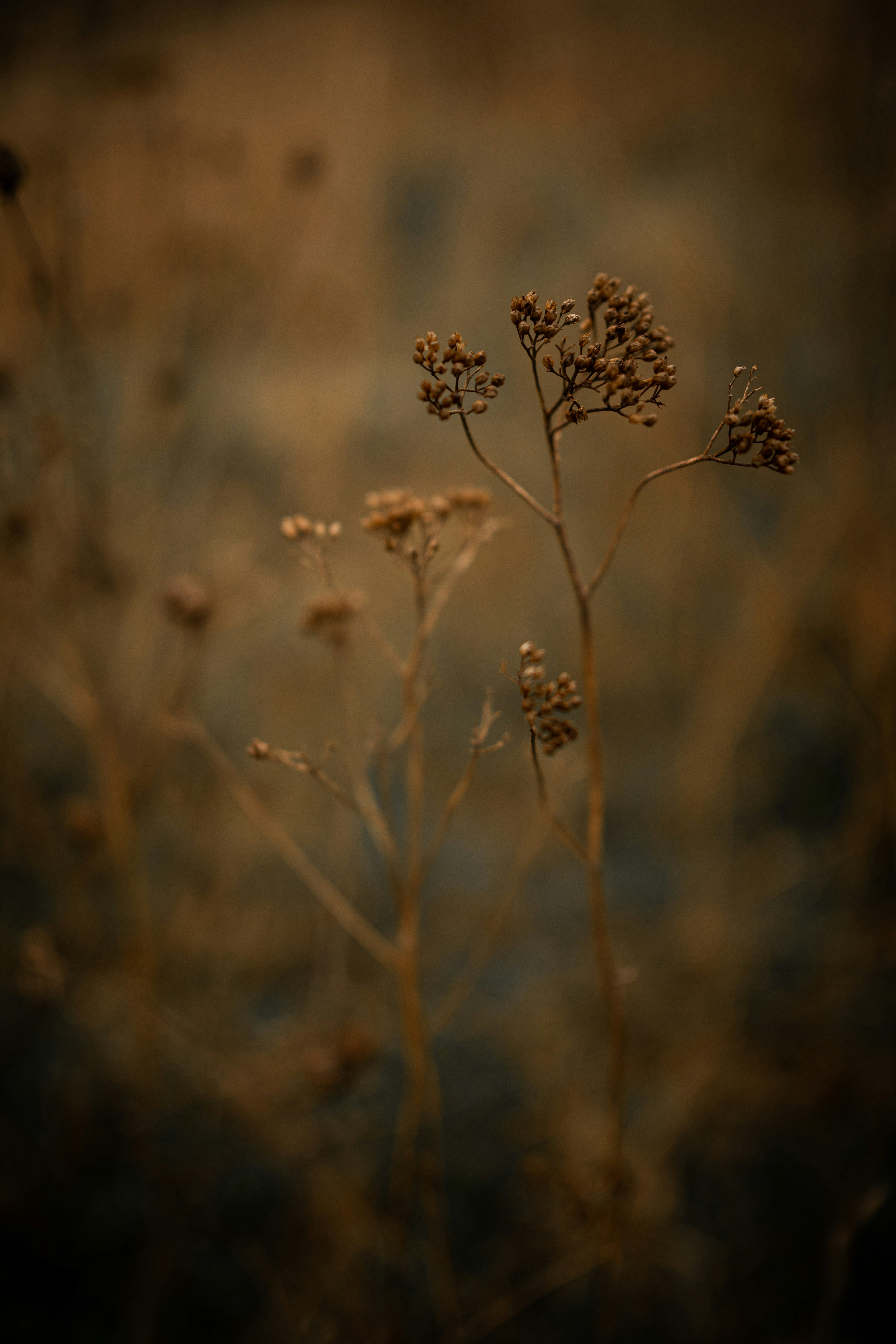 Photo by kajareichardtphotos