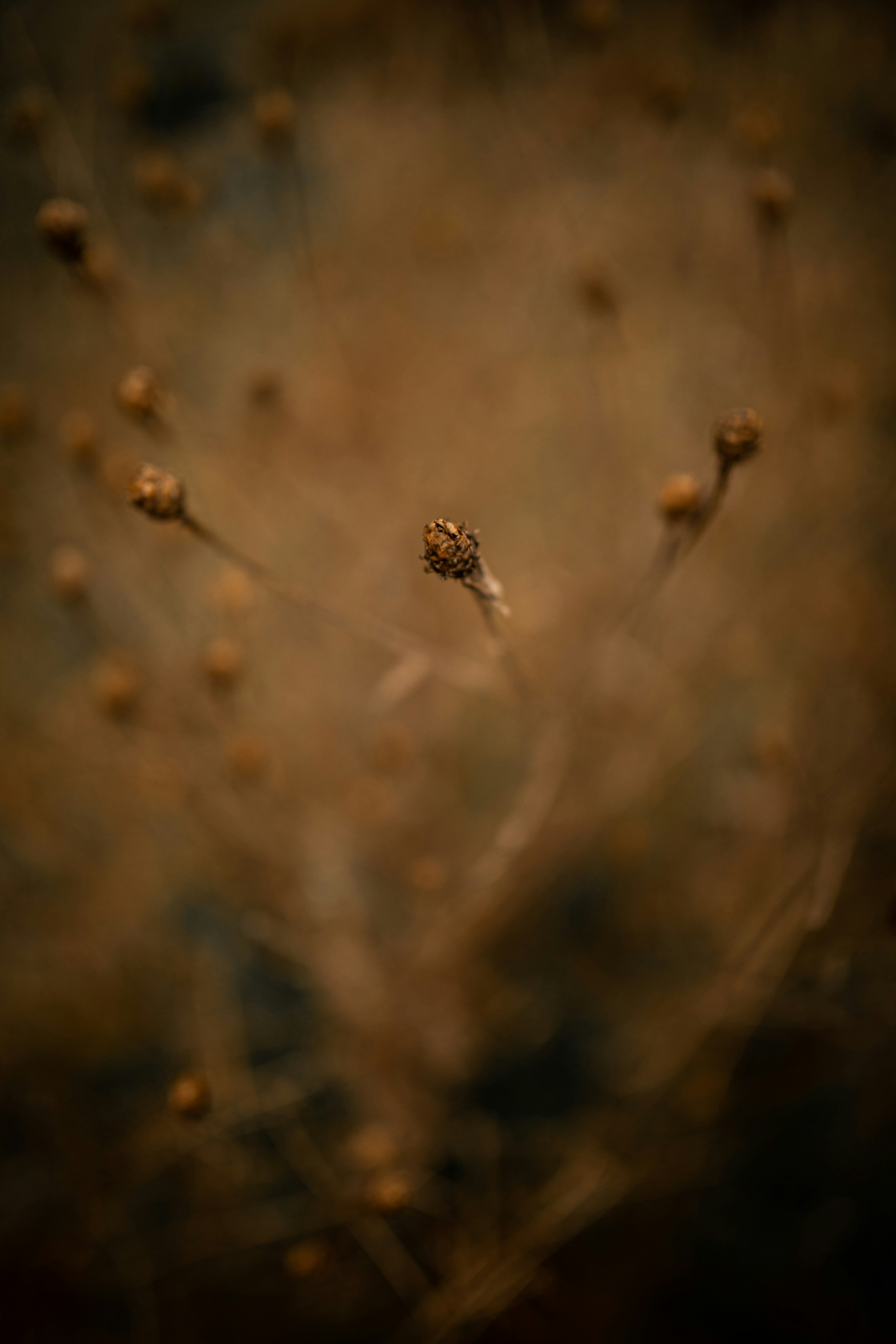 Photo by kajareichardtphotos