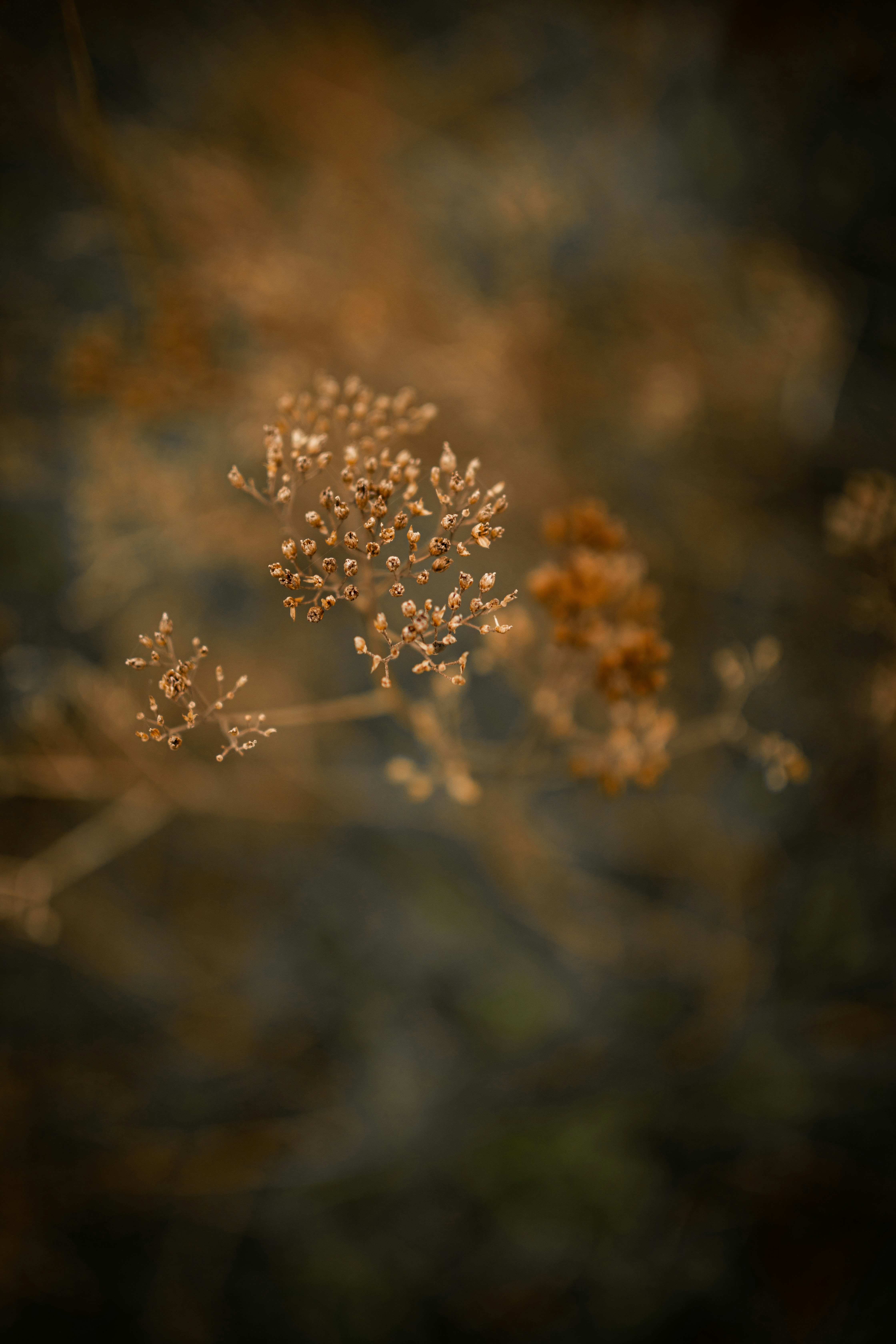 Photo by kajareichardtphotos