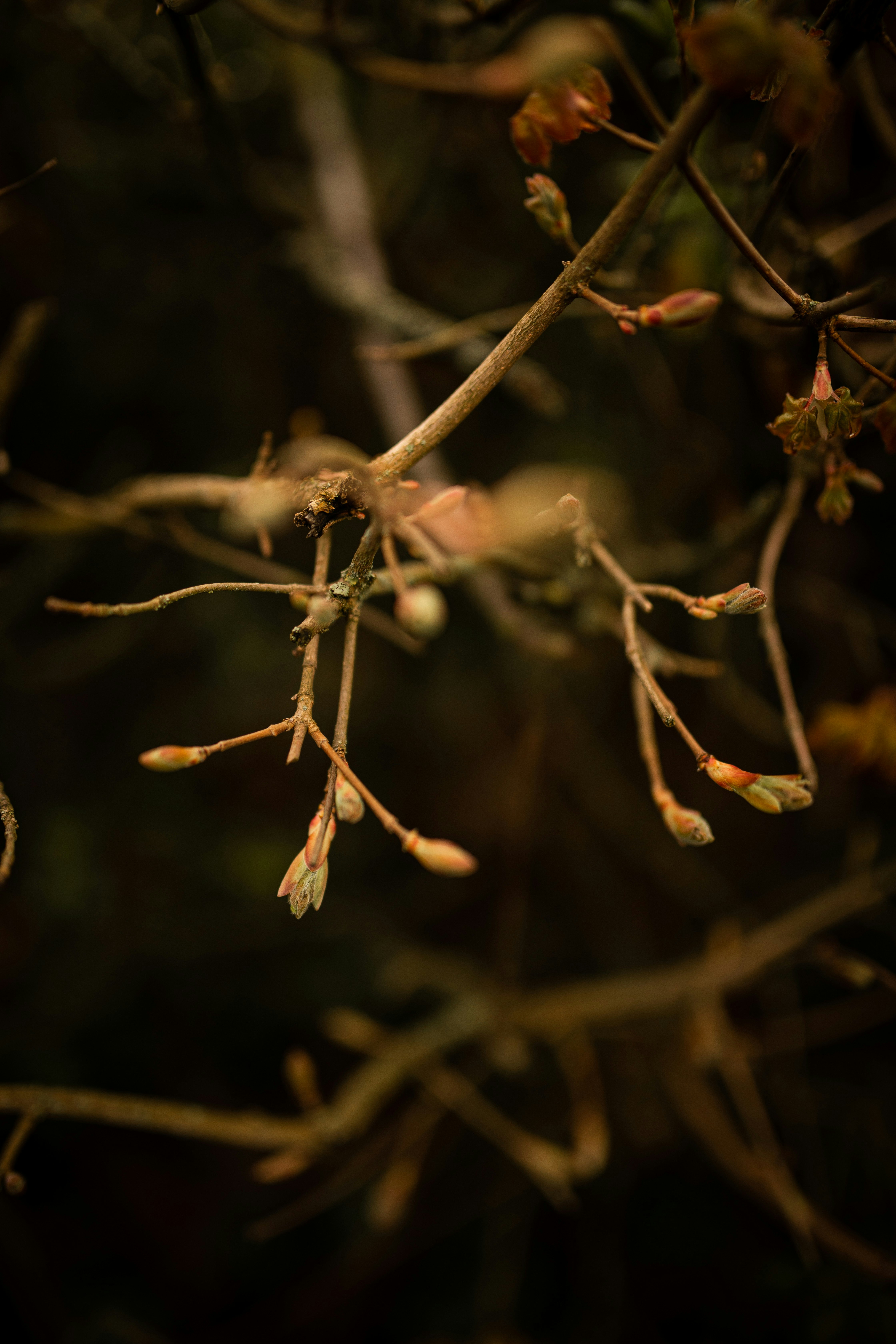 Photo by kajareichardtphotos