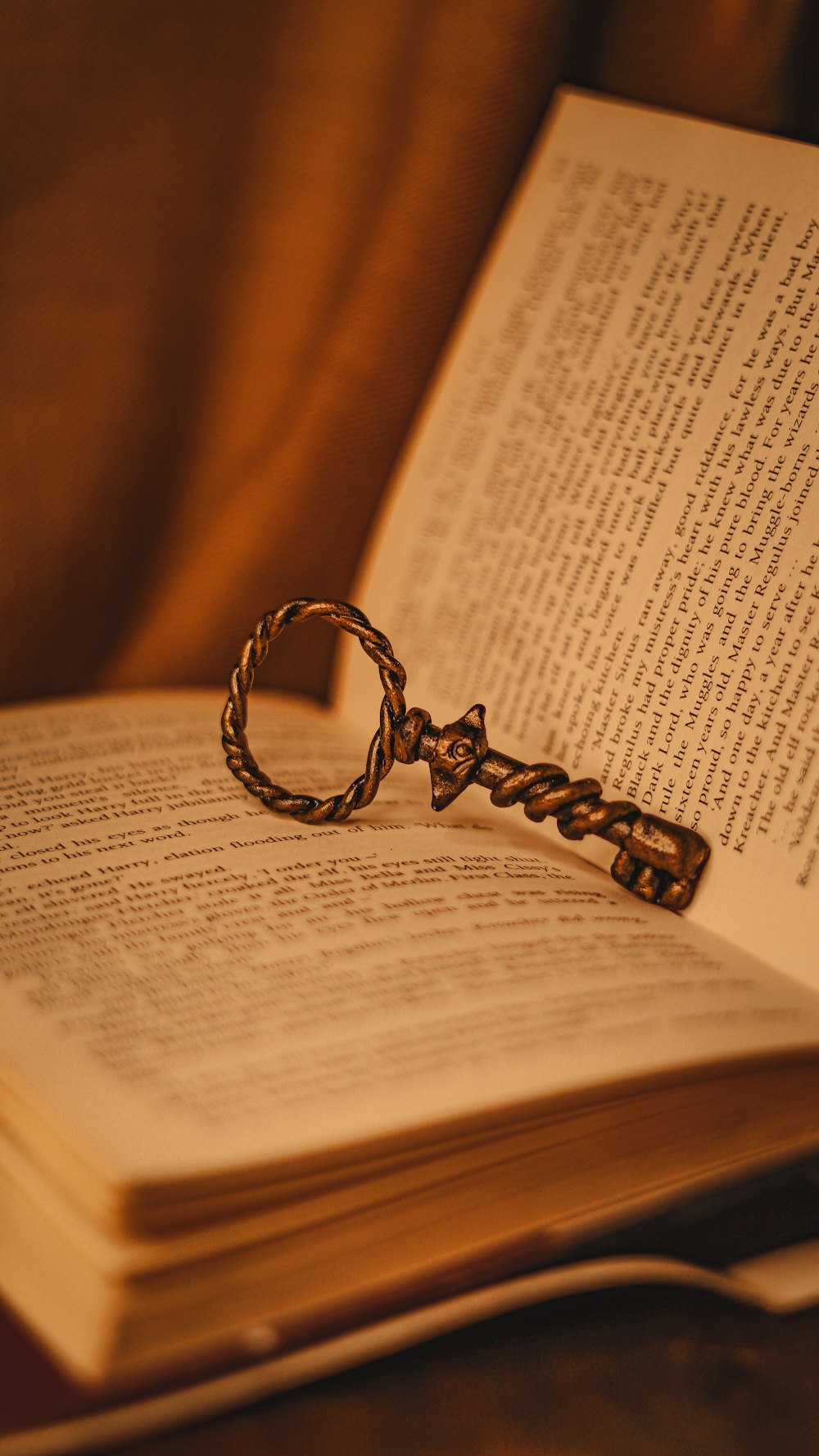 Anillo de plata en la página del libro