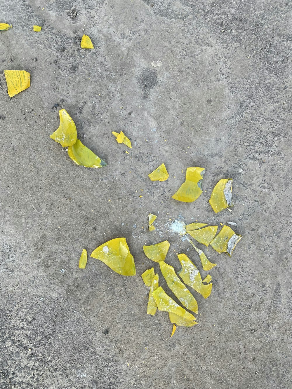 folhas amarelas no piso de concreto cinza