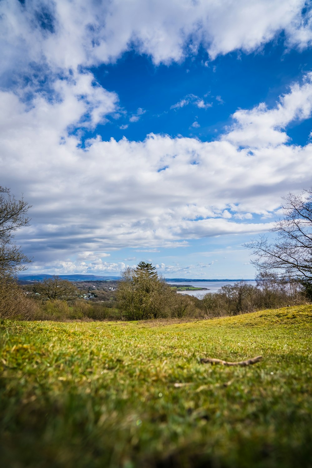 green grass field under blue sky during daytime