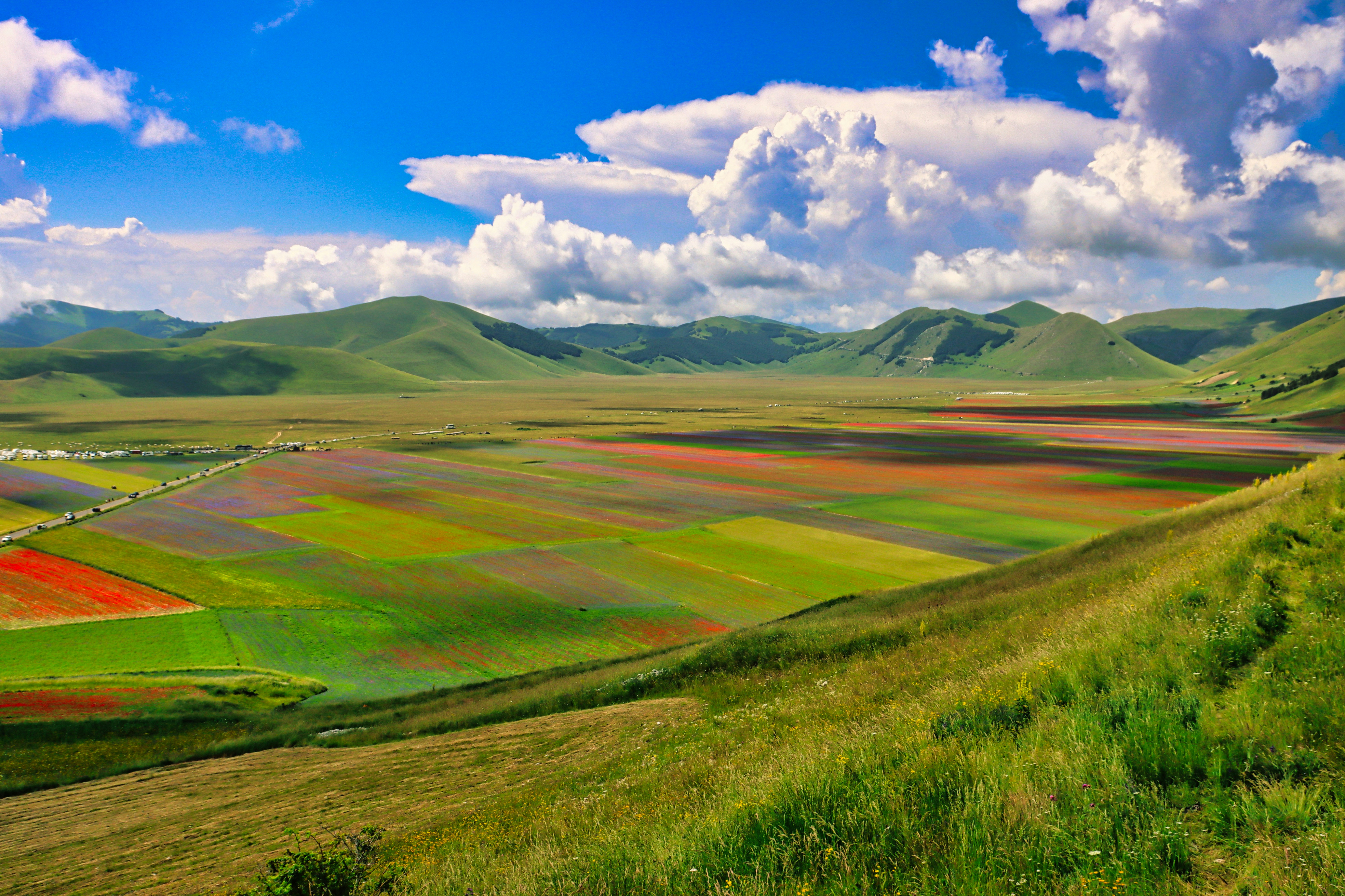The photo portrays the wonderful and magical spectacle of nature that wakes up during the flowering period in the countryside of Catelluccio di Norcia, in Umbria.