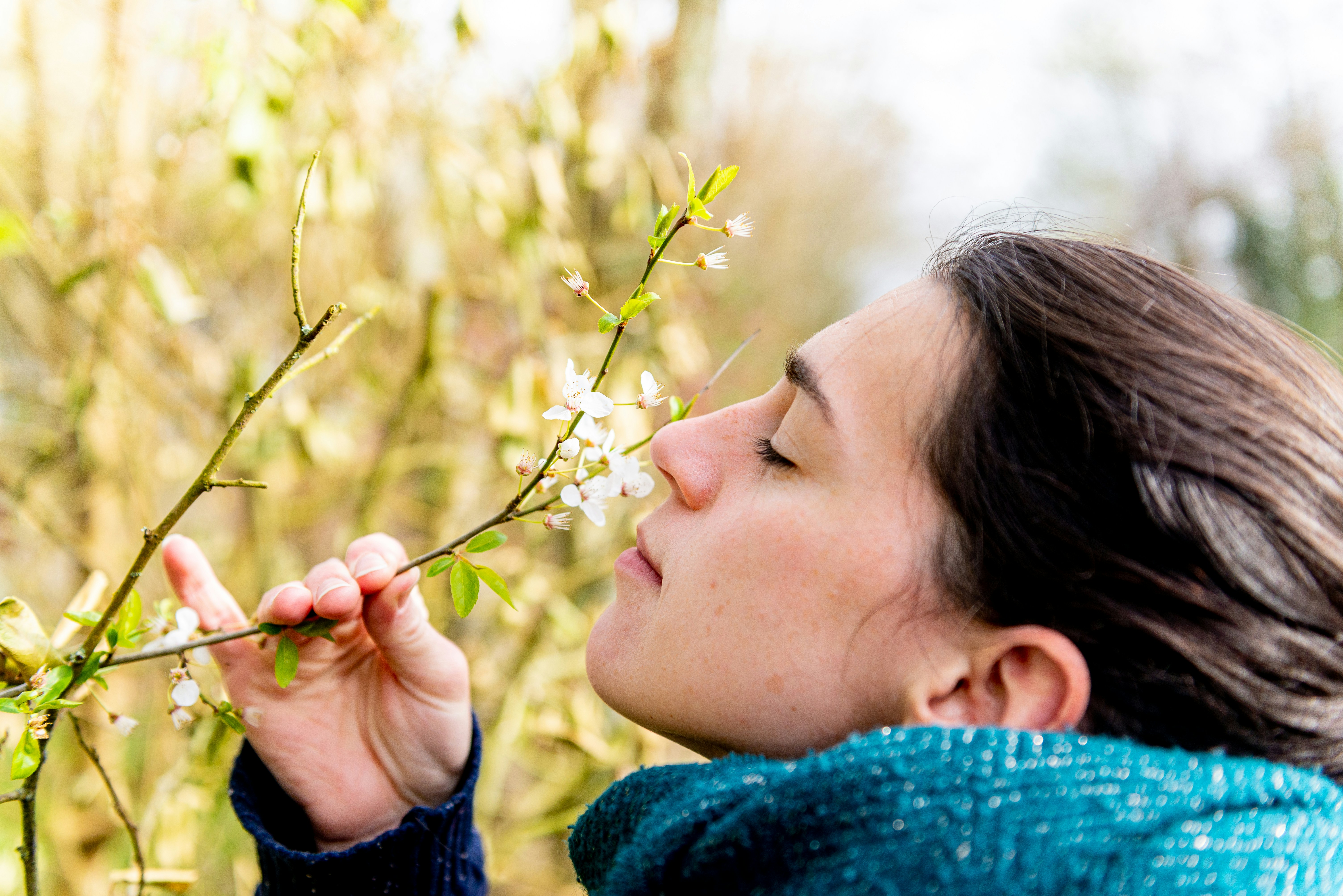 America's Allergy Crisis: Why More Immune Systems Are Misfiring—and What Science Says Can Actually Help