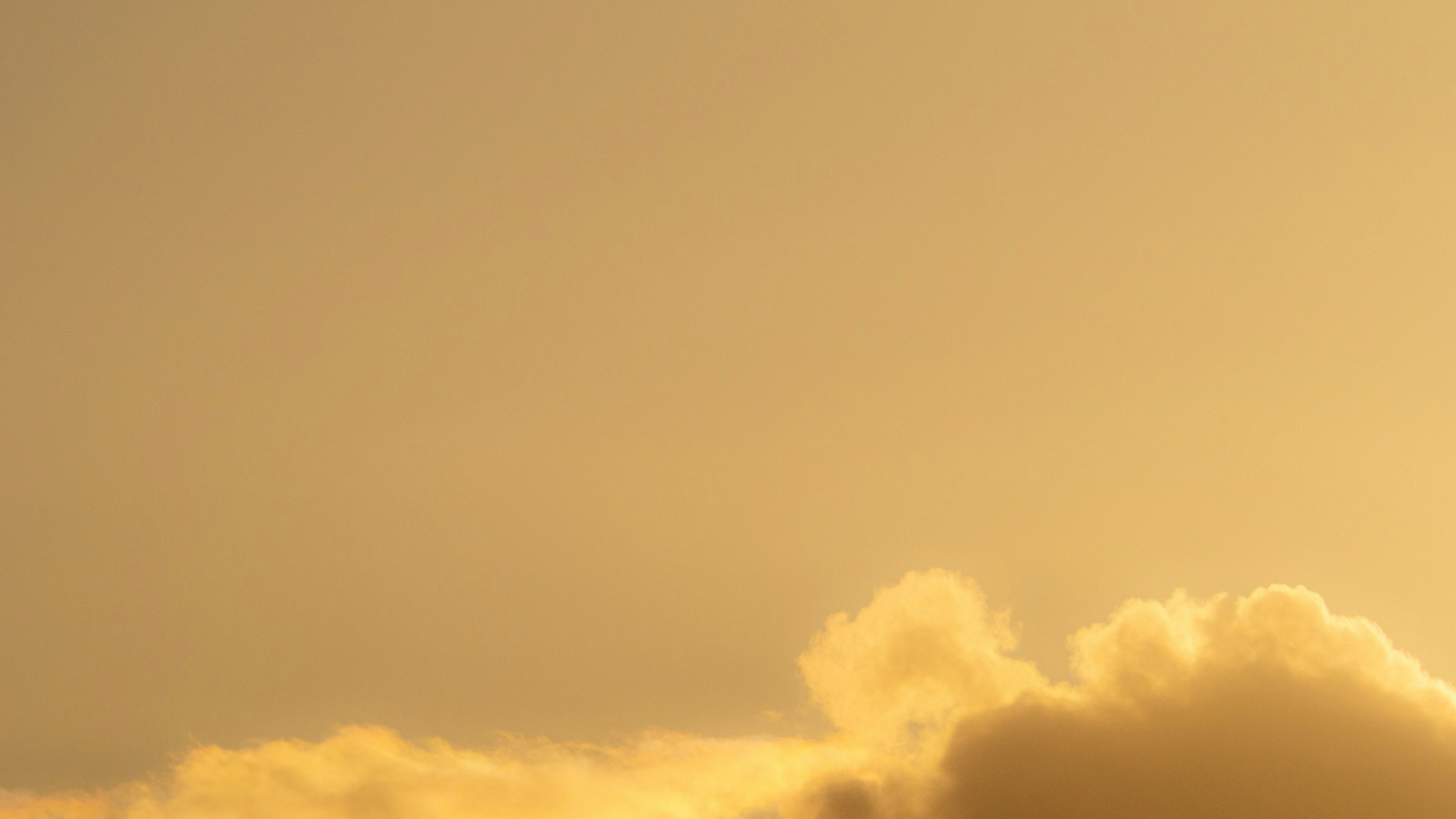 Photo by wimvanteinde