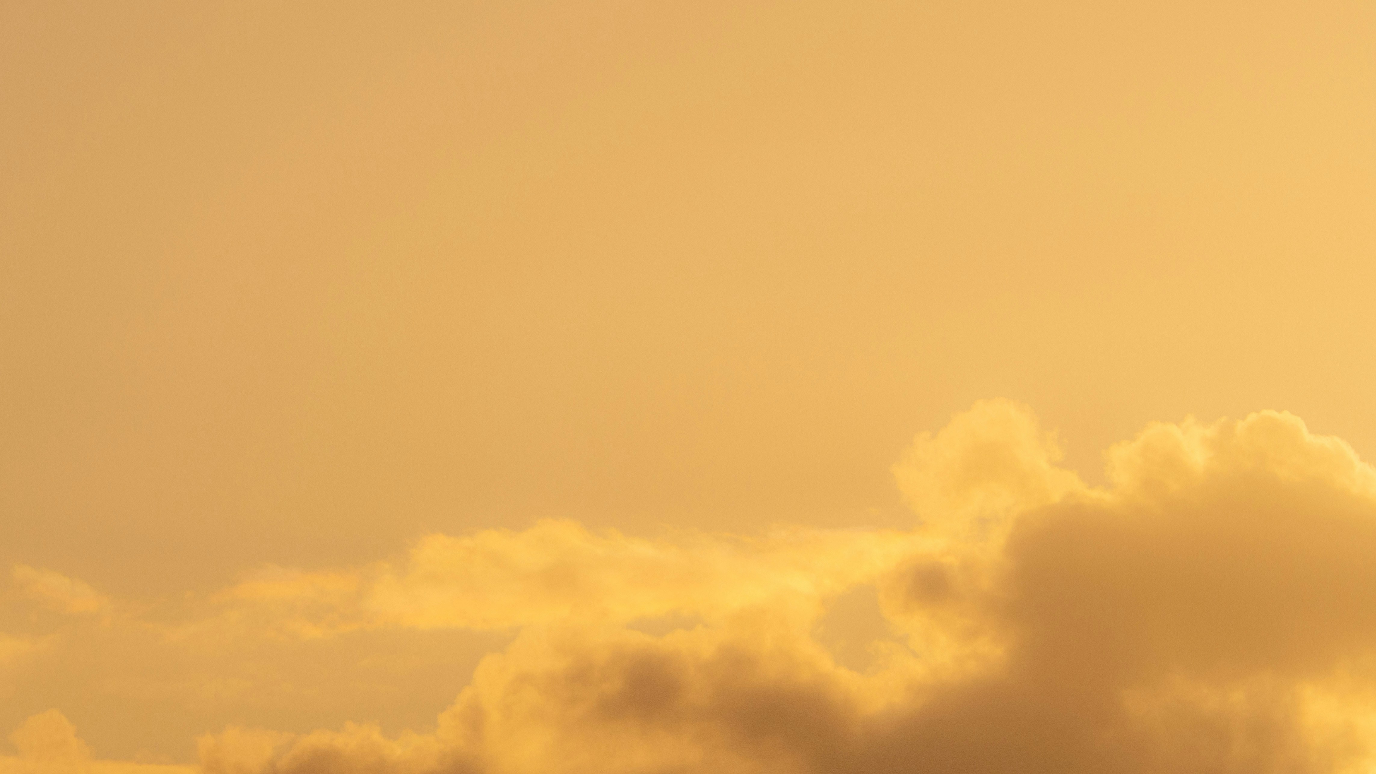 Photo by wimvanteinde