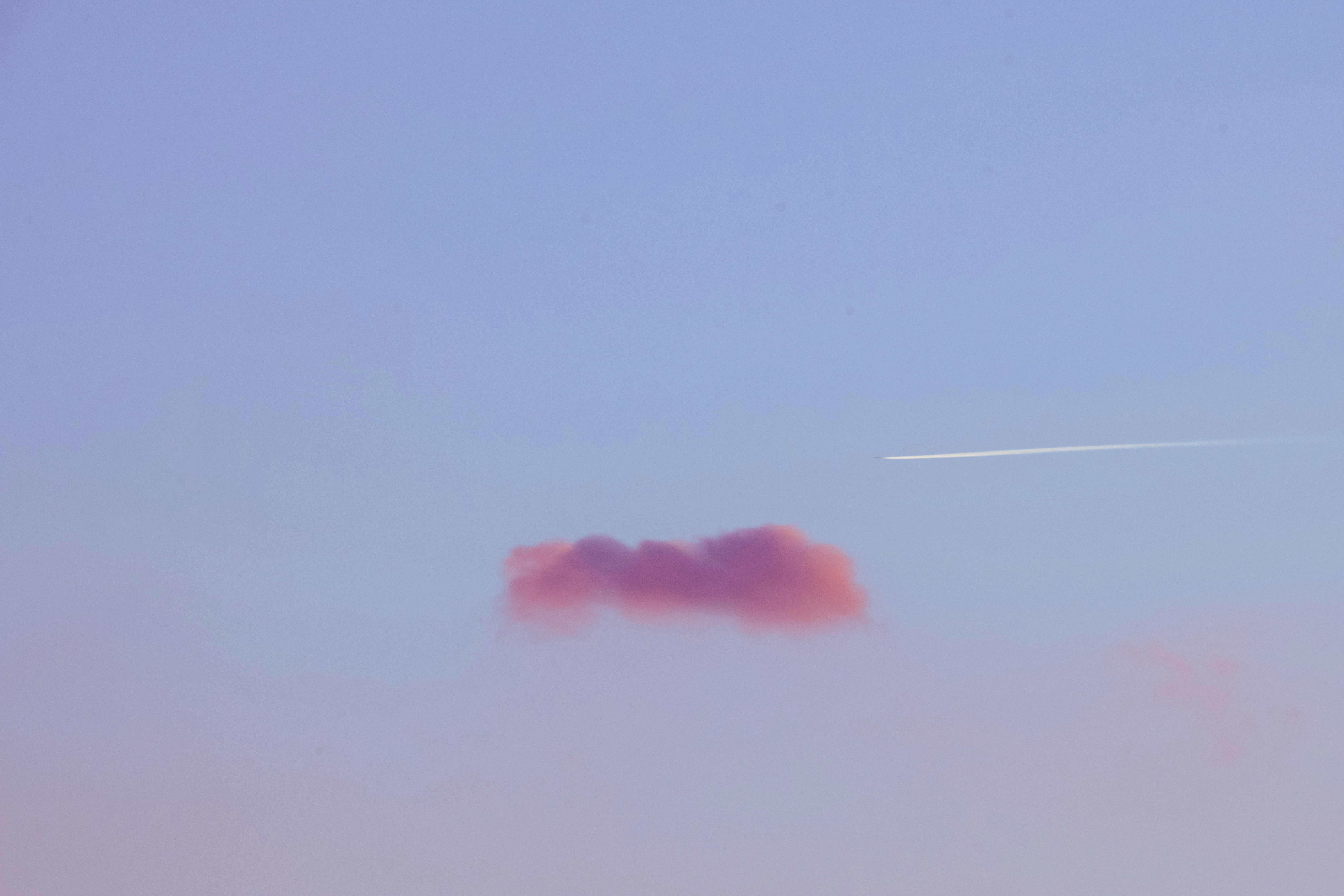 Photo by longlivehaas