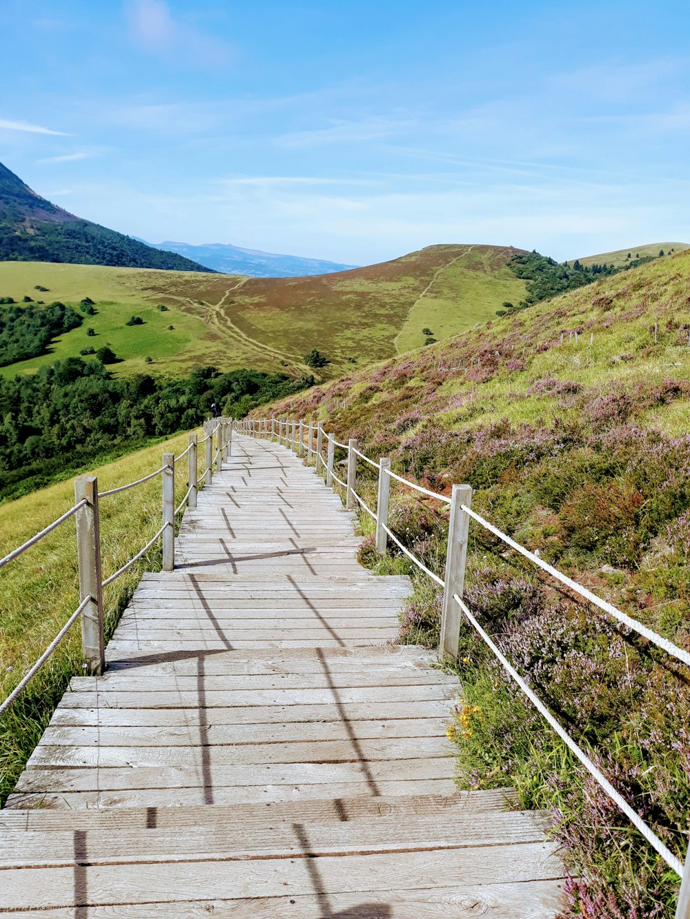 brown wooden bridge on green grass field during daytime