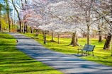 A scenic park pathway lined with blooming flowers and benches.