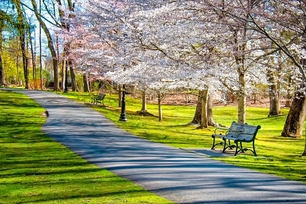 brown wooden bench on green grass field near trees during daytime