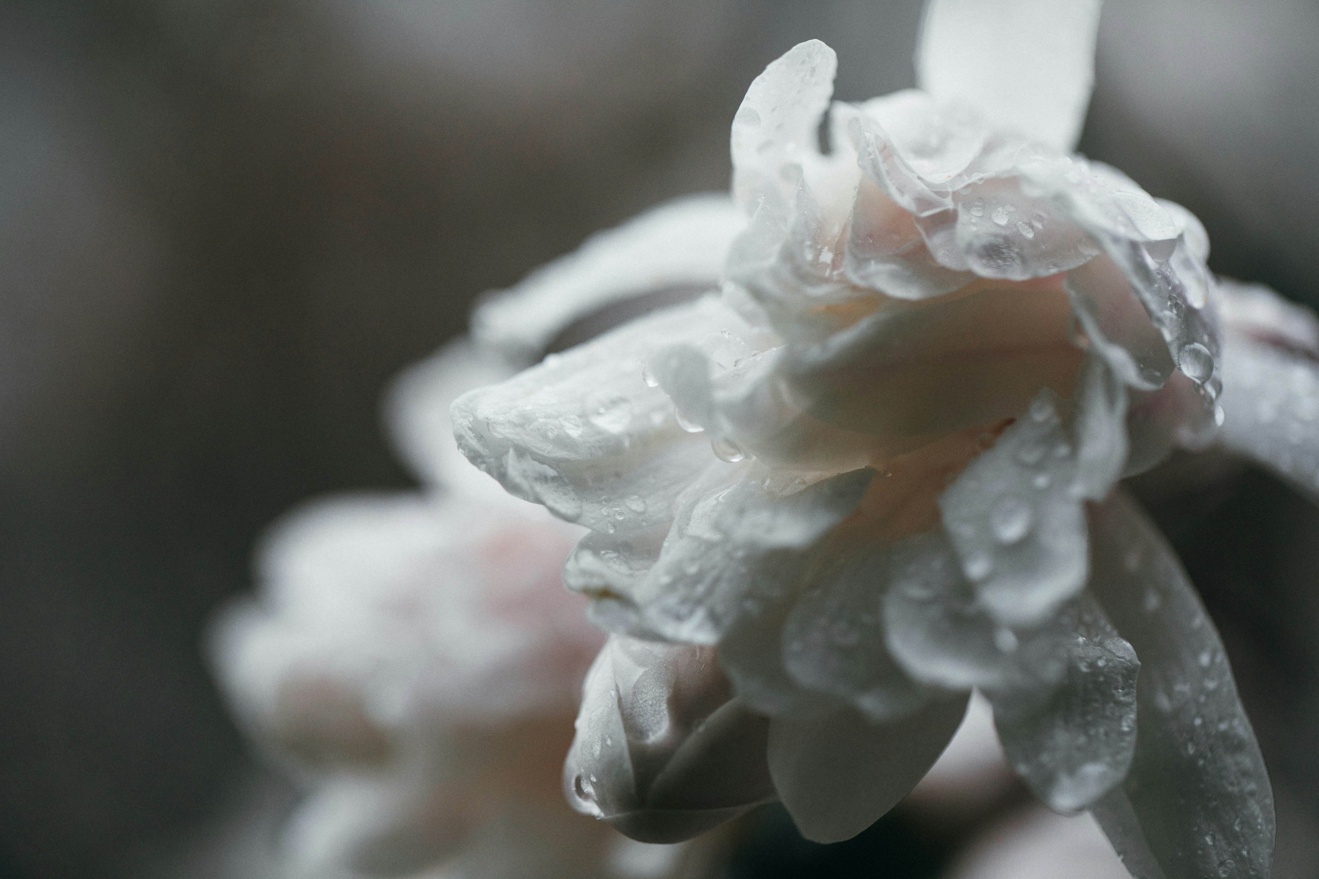 Photo by maddyhuntphoto