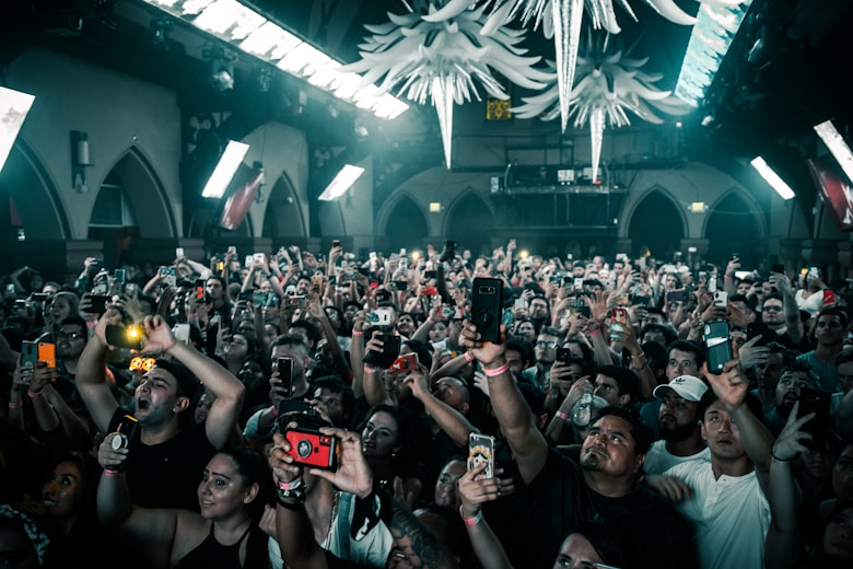 people gathering on concert during night time