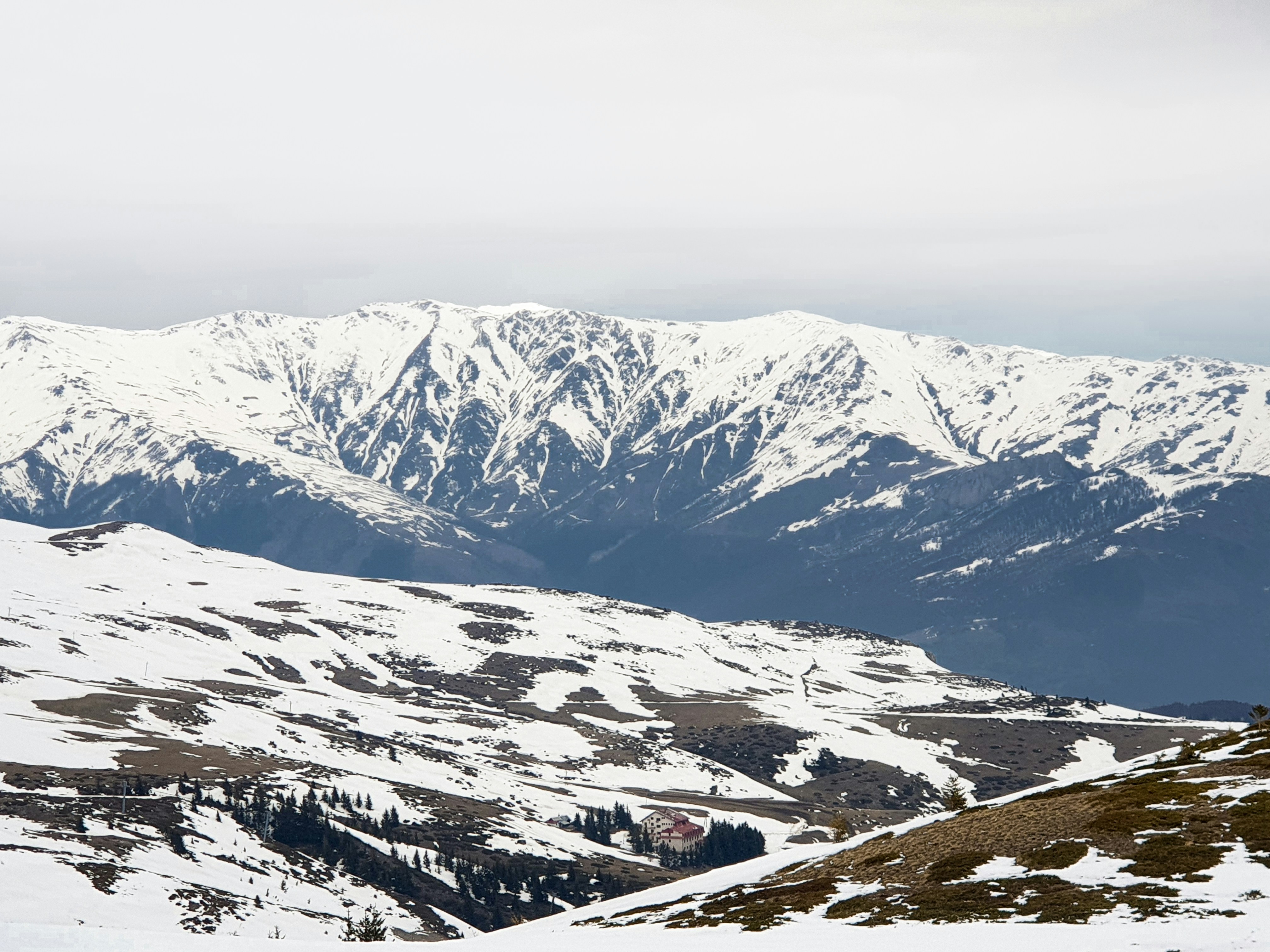 Photo by alberthyseni