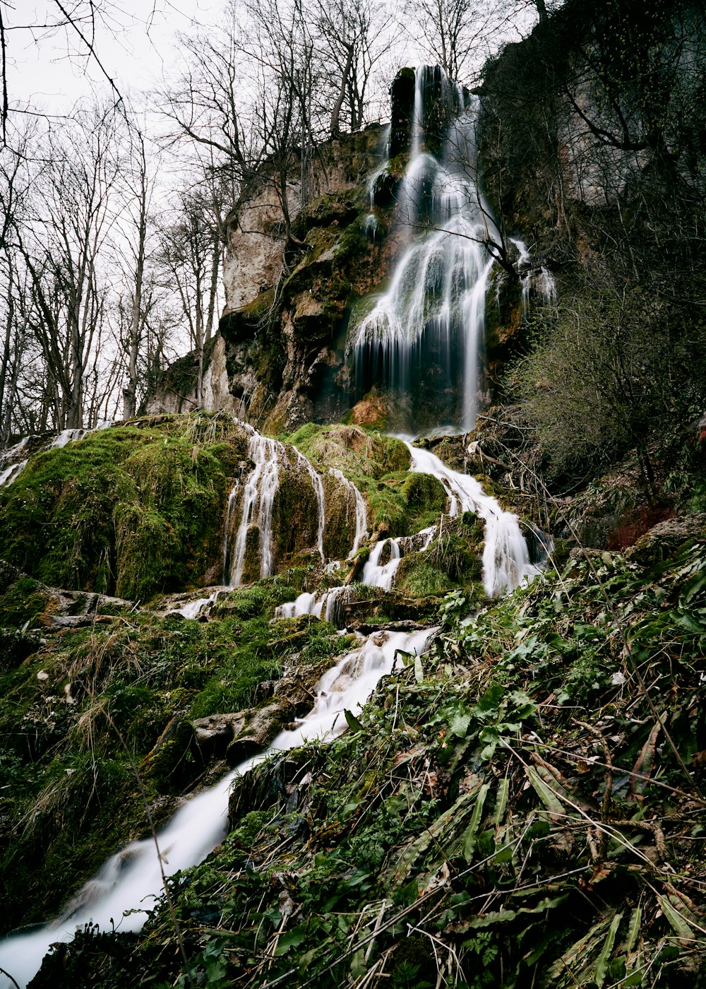 water falls in the middle of the forest