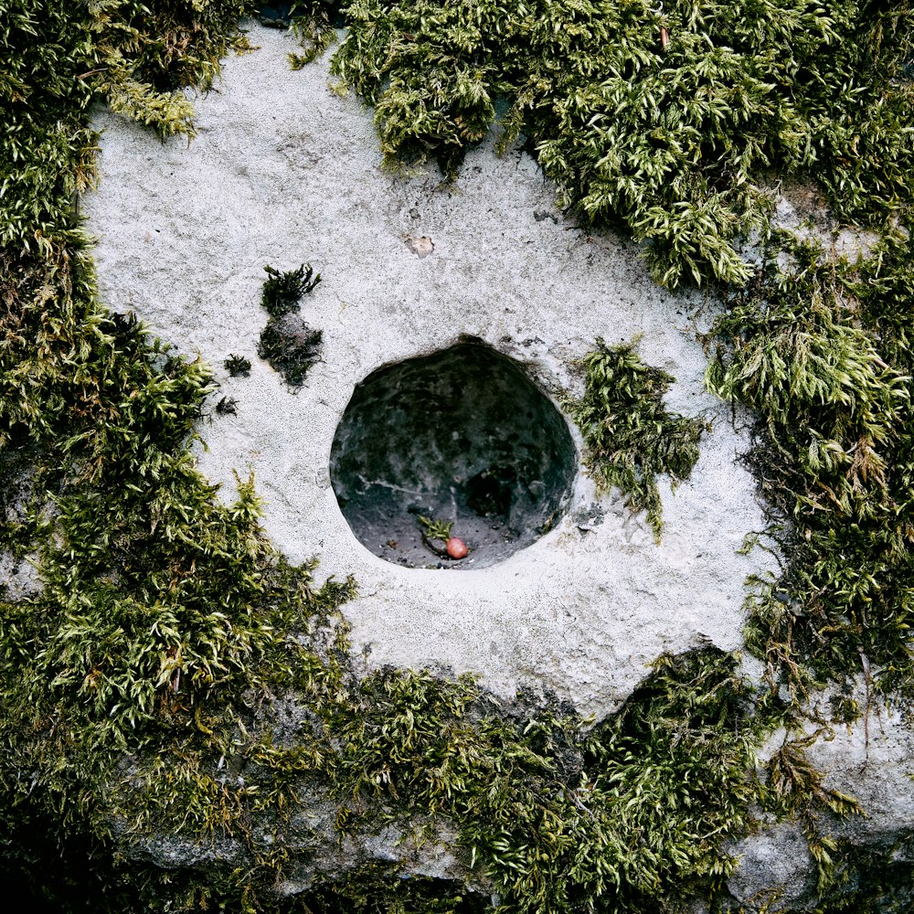 black round stone on white snow