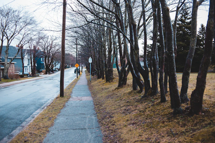 Walking Paths