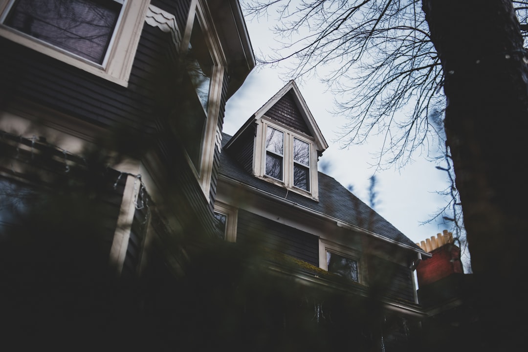 brown wooden house near bare trees during daytime