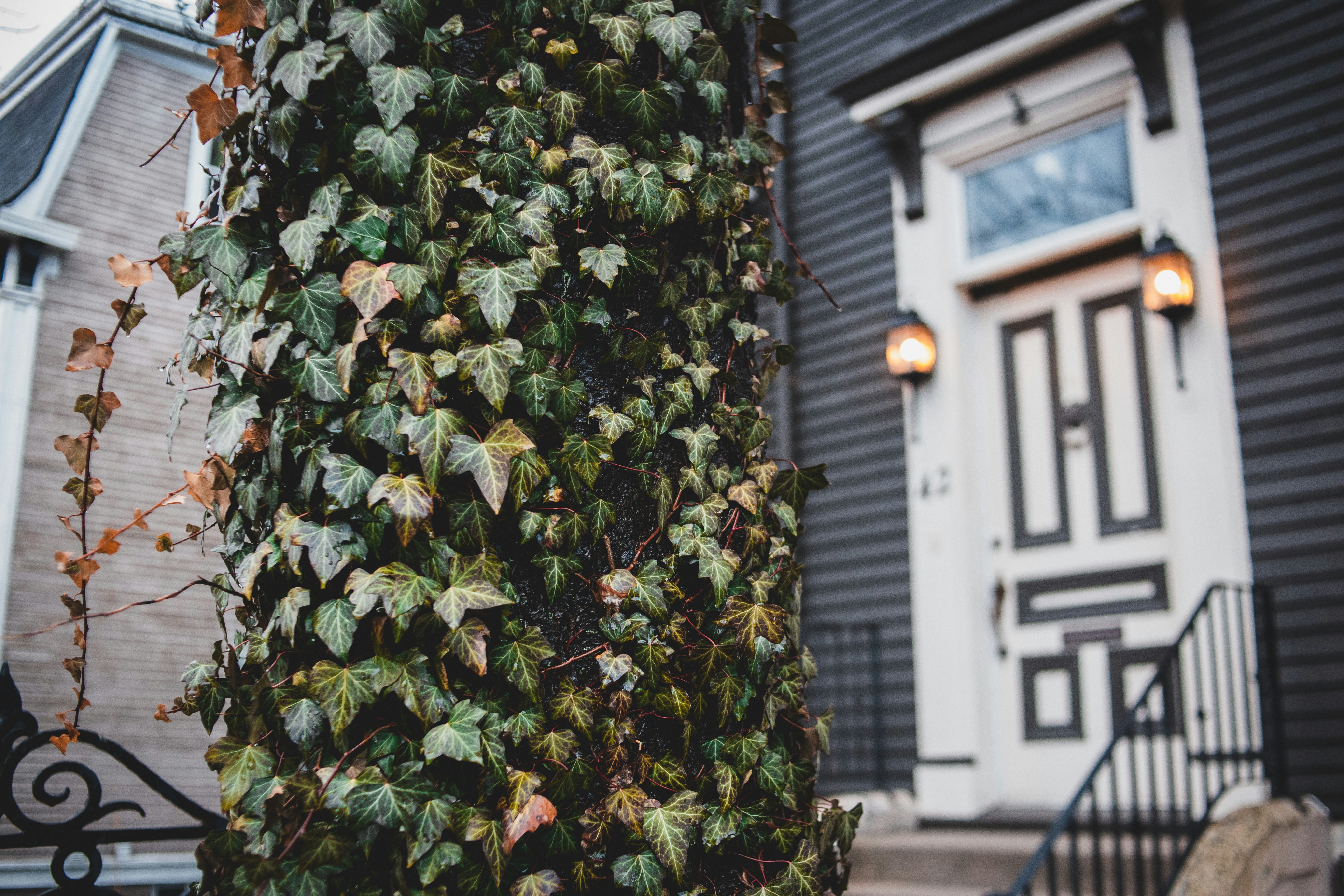 Photo by introspectivedsgn