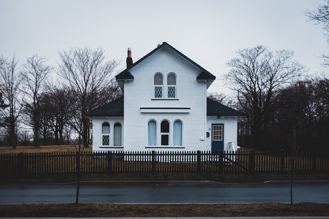 white wooden house near bare trees during daytime