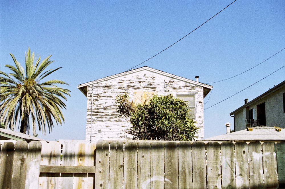 green palm tree beside white concrete building during daytime