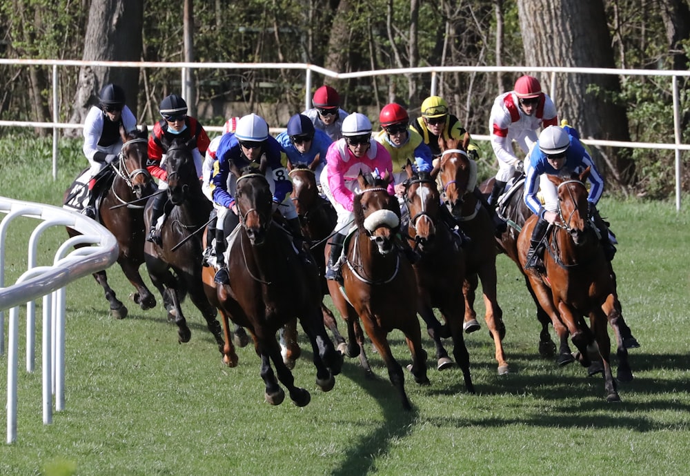 people riding horses on green grass field during daytime