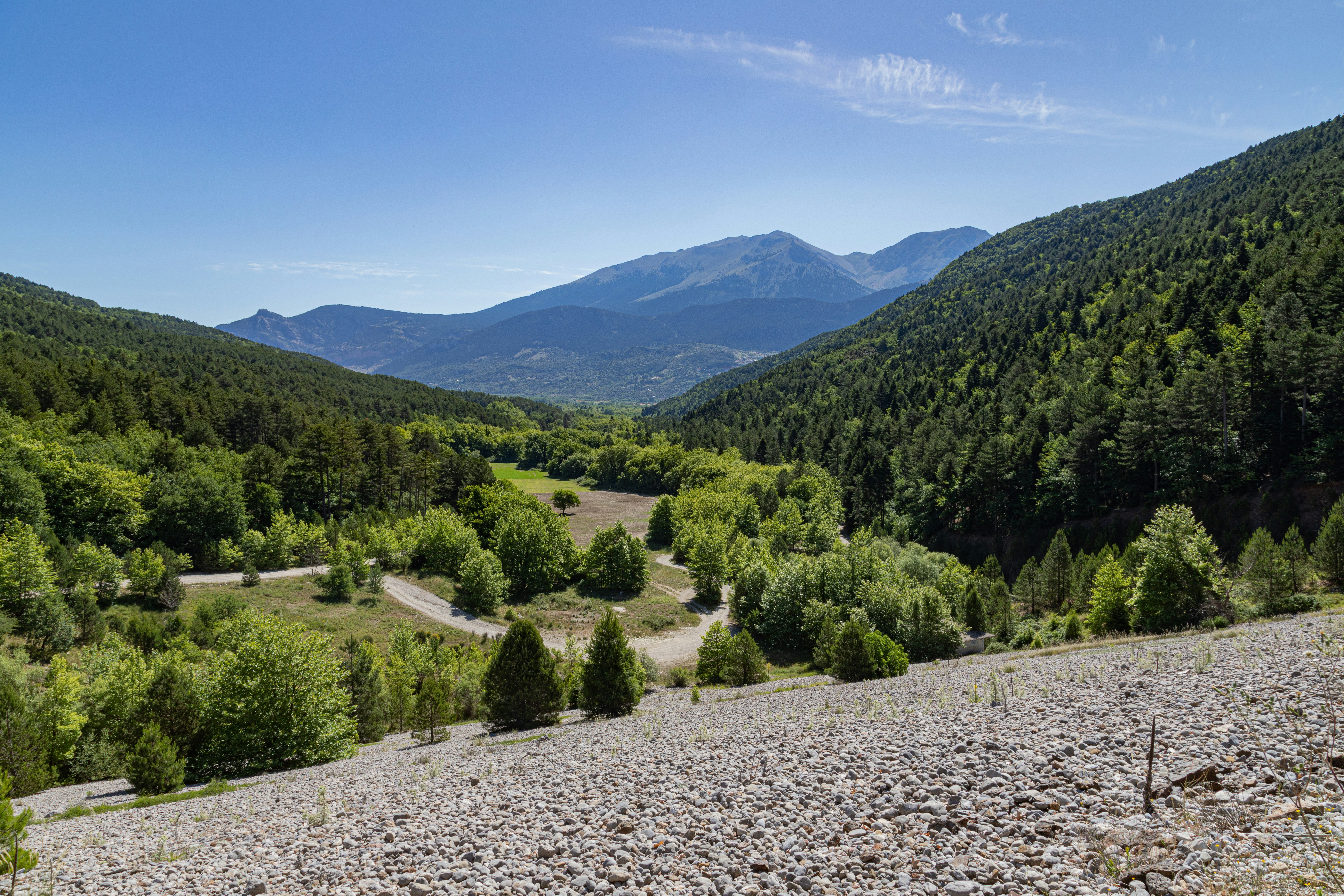 Photo by plimper_1971