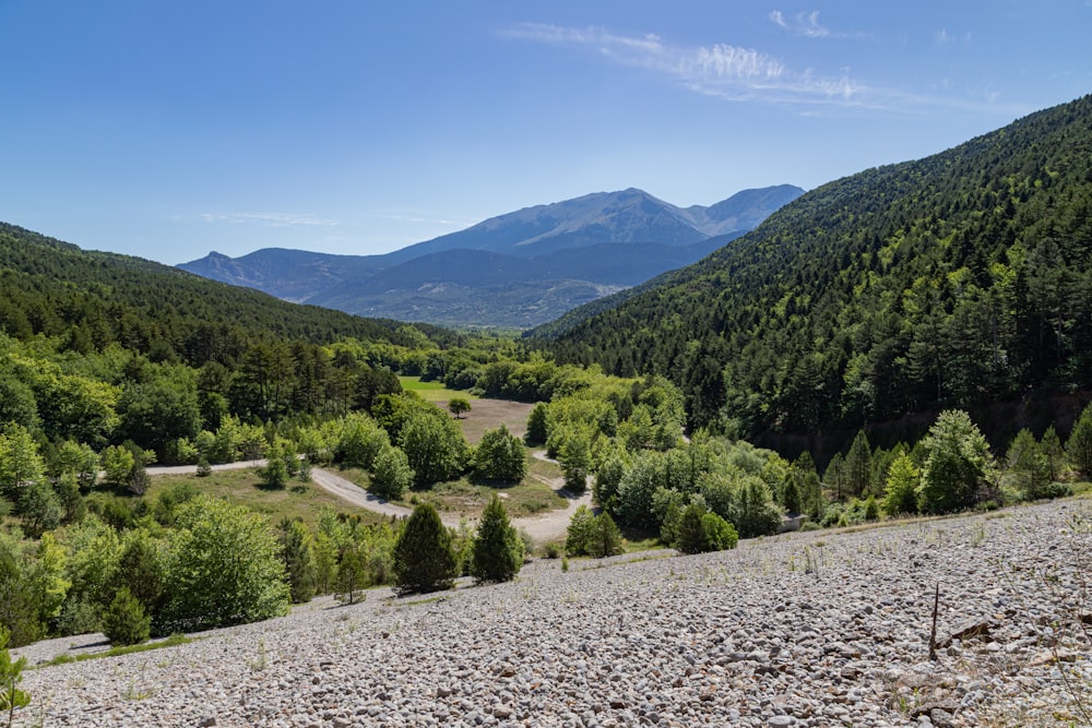 green trees on mountain under blue sky during daytime