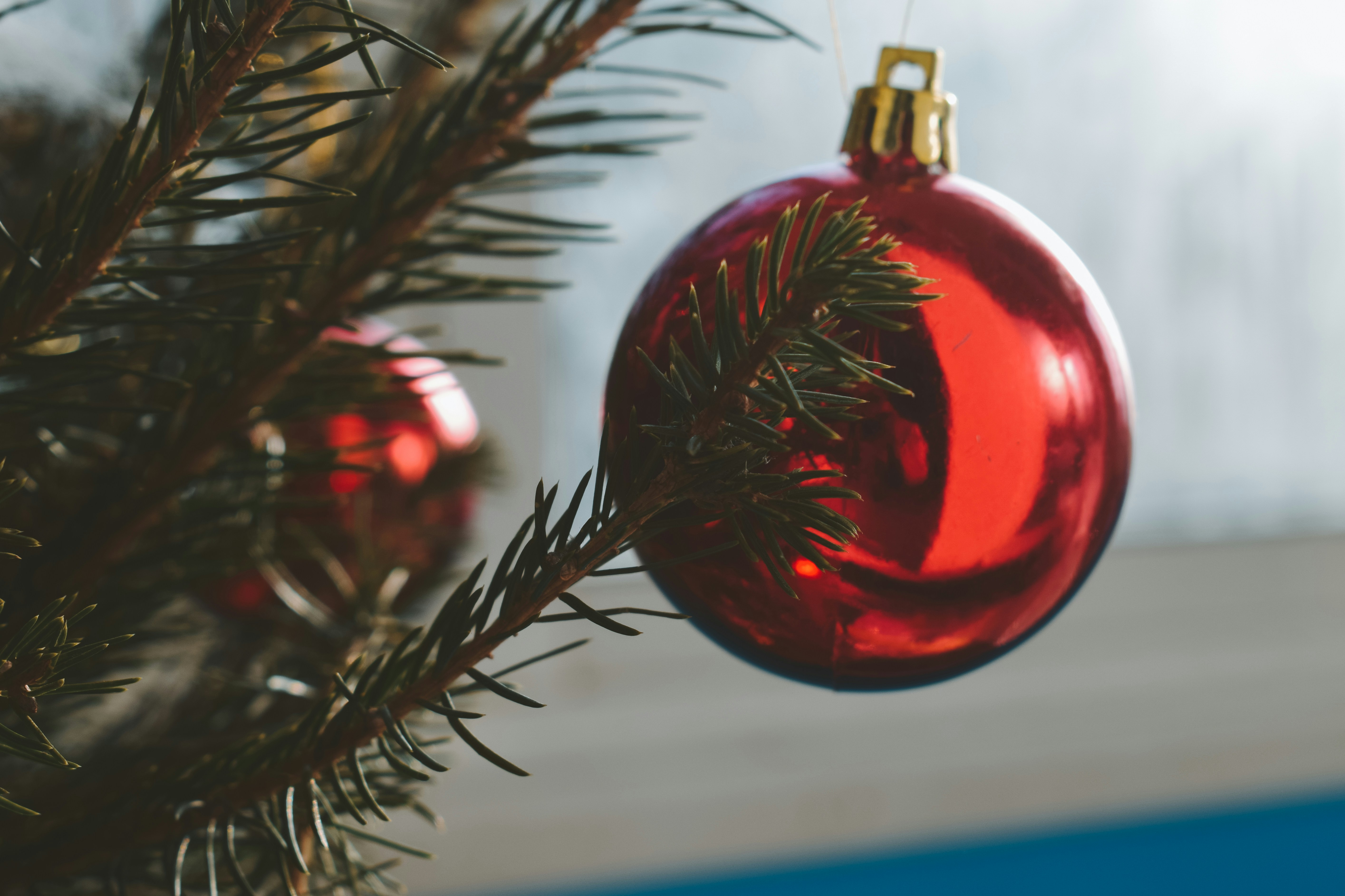 Photo by darya_tryfanava