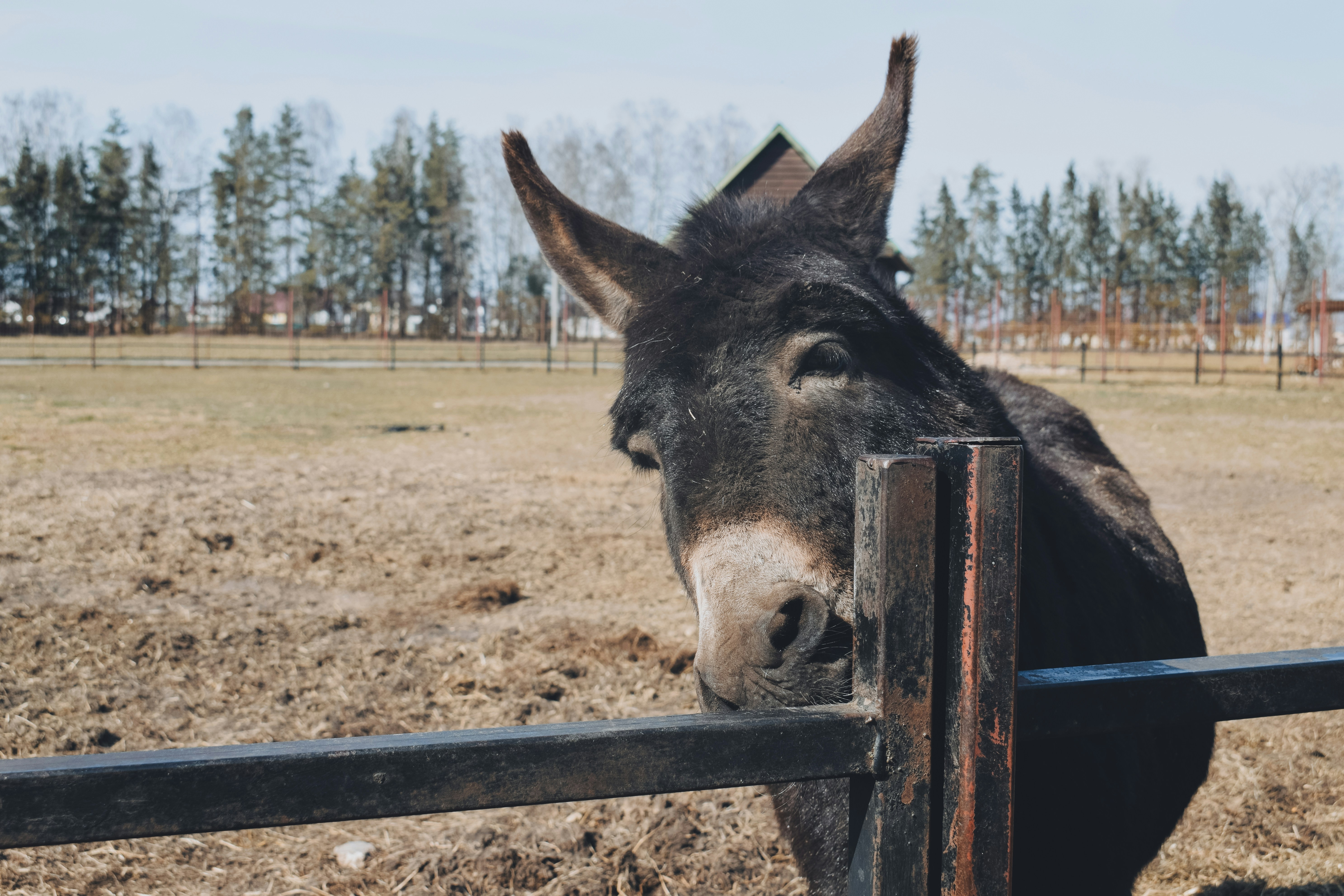 Photo by darya_tryfanava