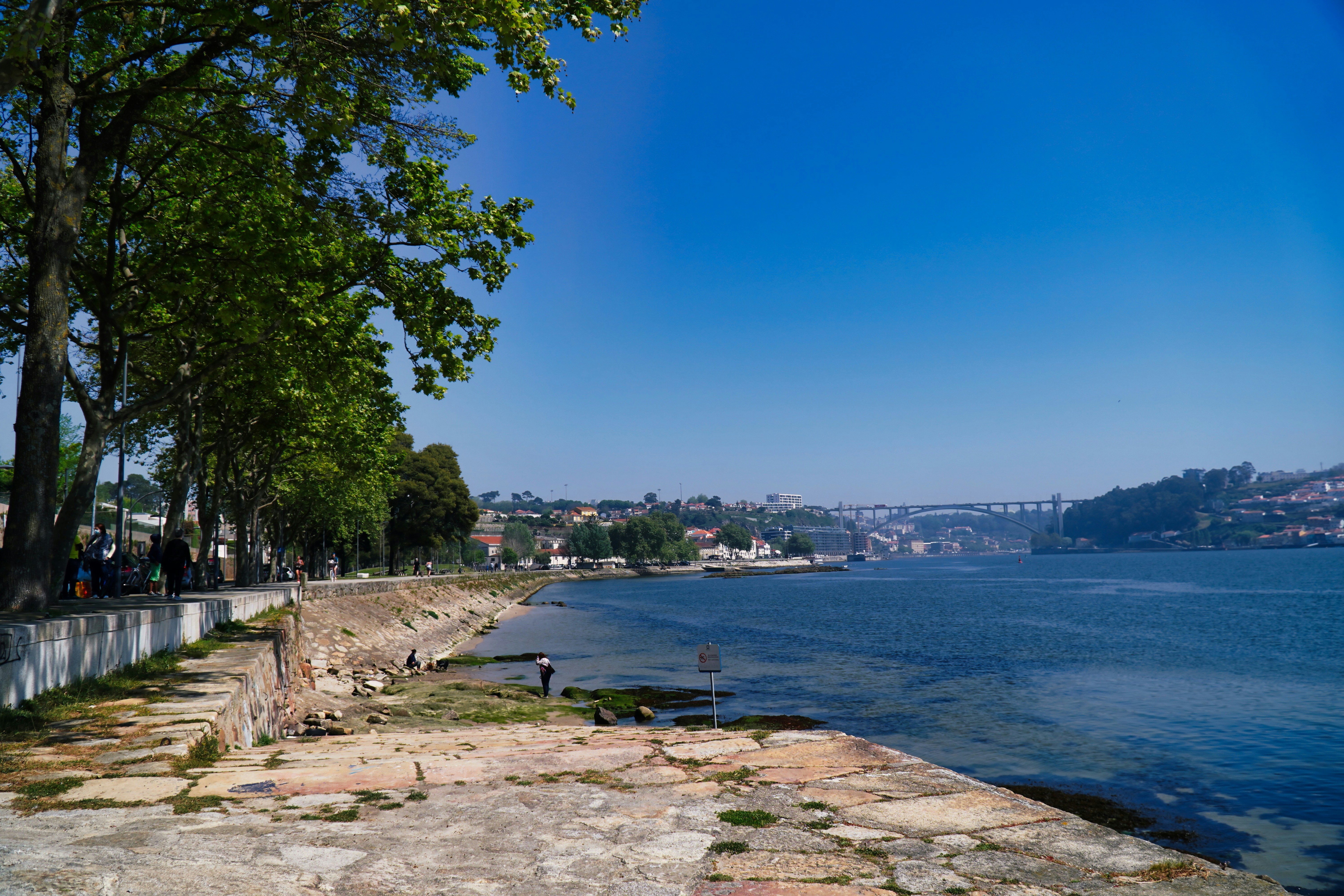 Photo by marcio_azevedo